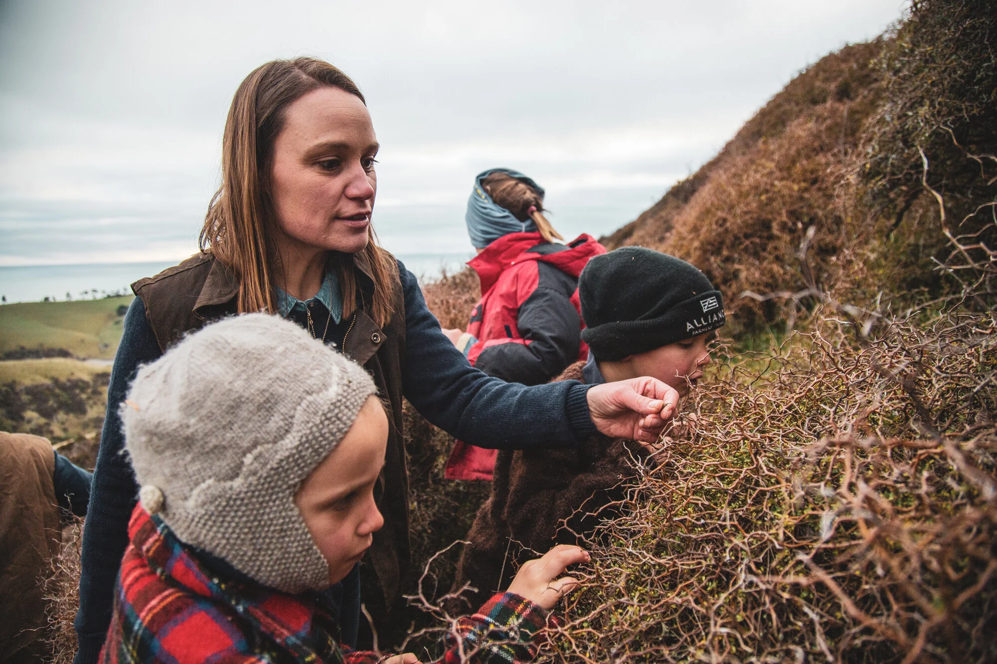 Six year old, George, delights at the discovery of Kōwhai seeds amongst the undergrowth in the eighteen hectare restoration block. “Part of the process is sourcing the seed from our farm to ensure we’ve got the right plants to match the environment. It’s all eco-sourced,” says Annabel. “We enjoy as a family, collecting the seed, and then we provide it to our propagators; they strike the seed and grow the seedlings, and bring them back to plant.” Middle top: A miniature Kōwhai (Kōwhai sophora prostrata) mostly found on the Banks Peninsula.