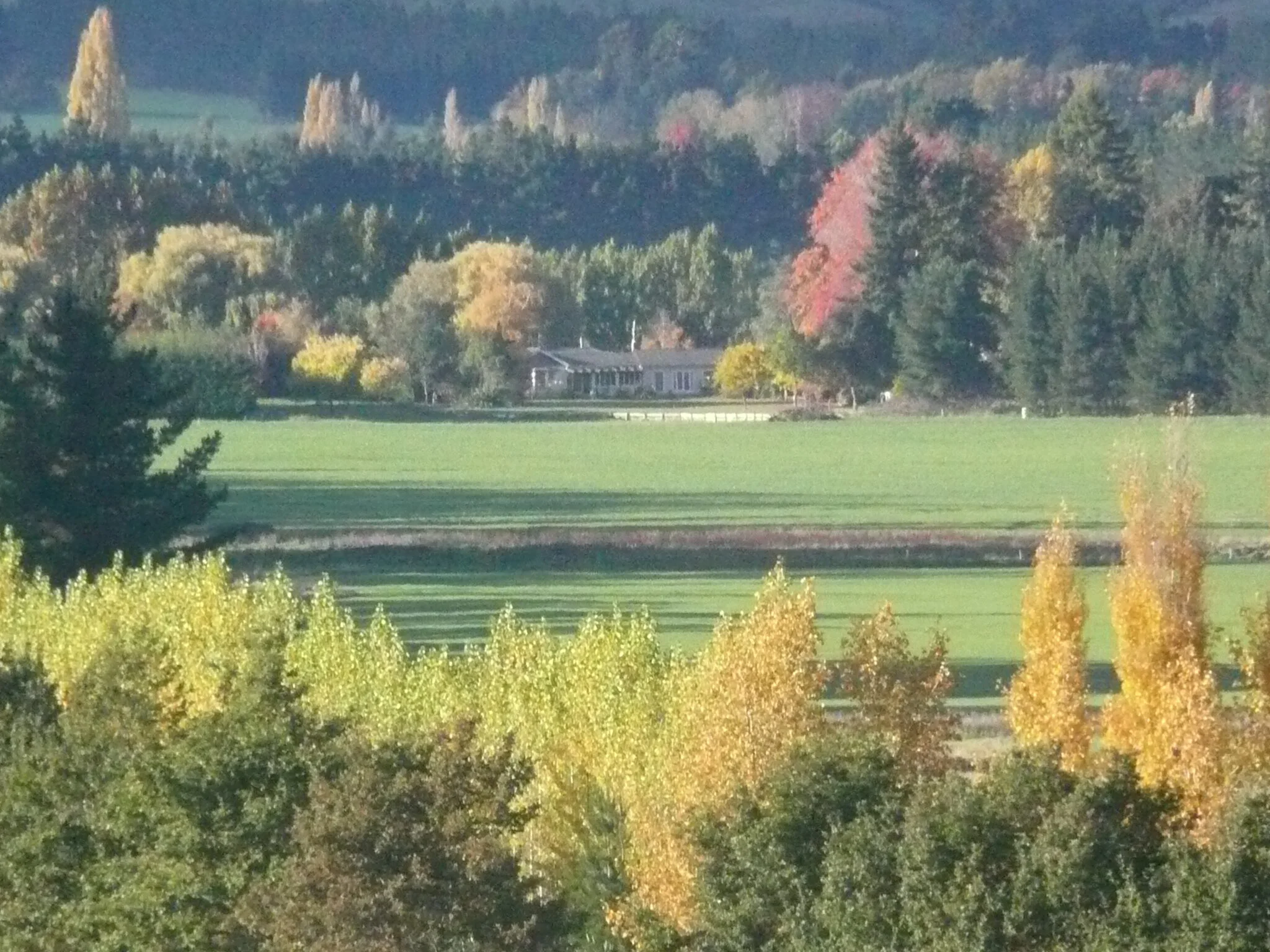 Harri & Jamie 29.4.08 024.jpg