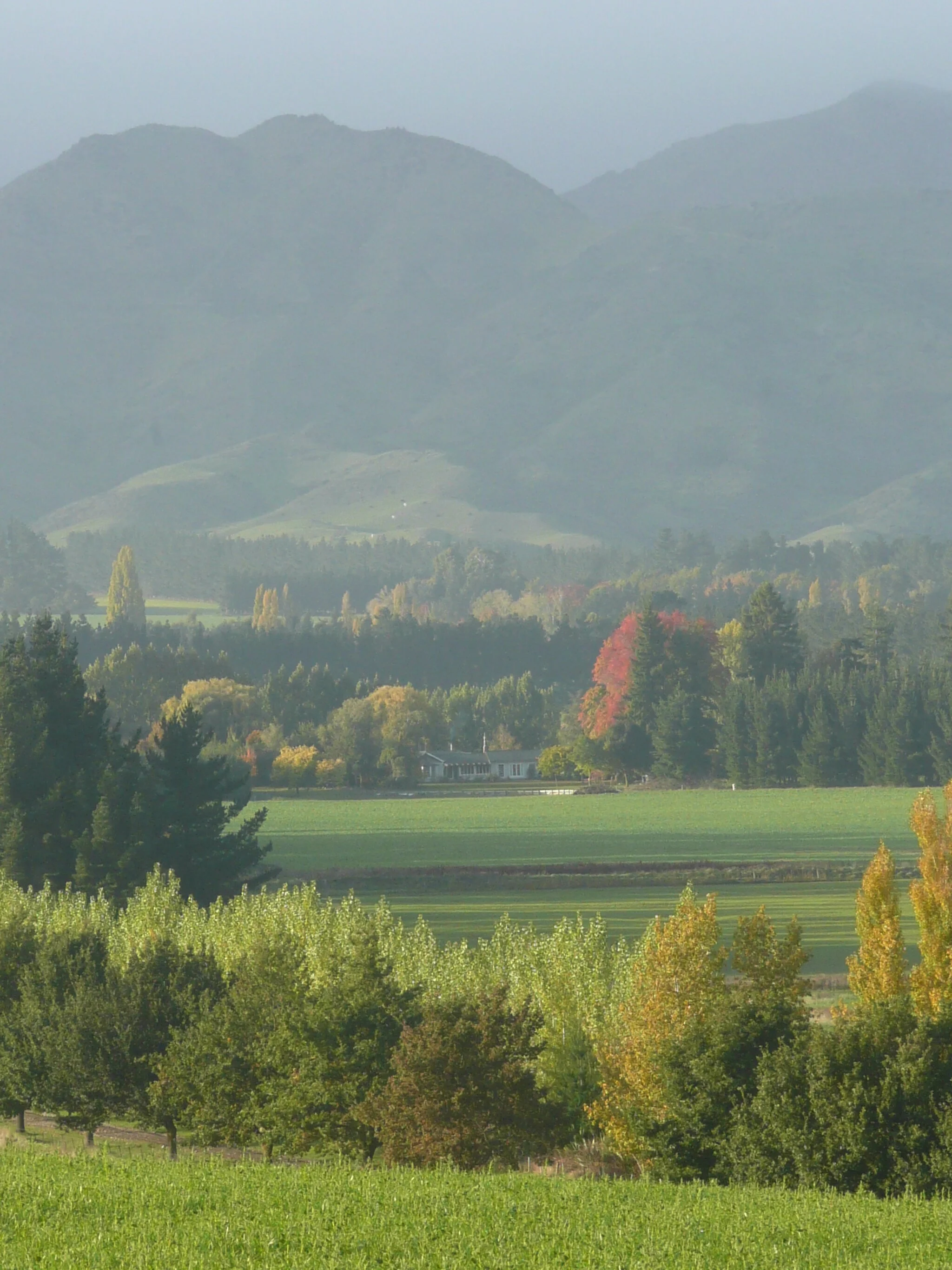 Harri & Jamie 29.4.08 001.jpg