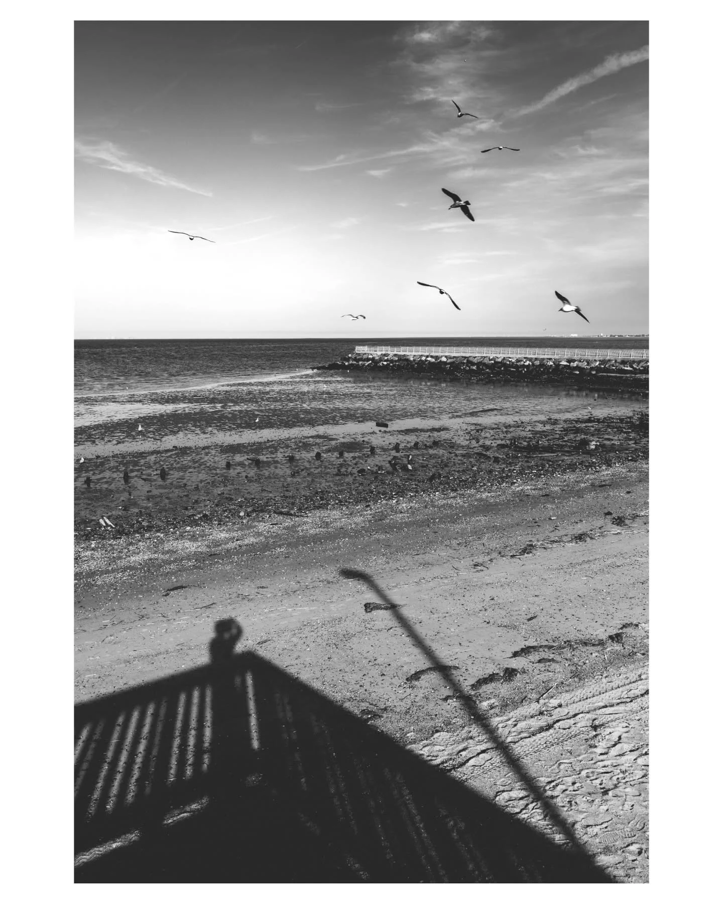 in the kaleidoscopic razzle-dazzle berating me
I needed to simplify, simplify
and lend a lazy gaze toward infinity 
where the sea meets the sky.

∆

I've taken for granted how close I live to the atlantic ocean, a mere 10-minute drive away. it's surp