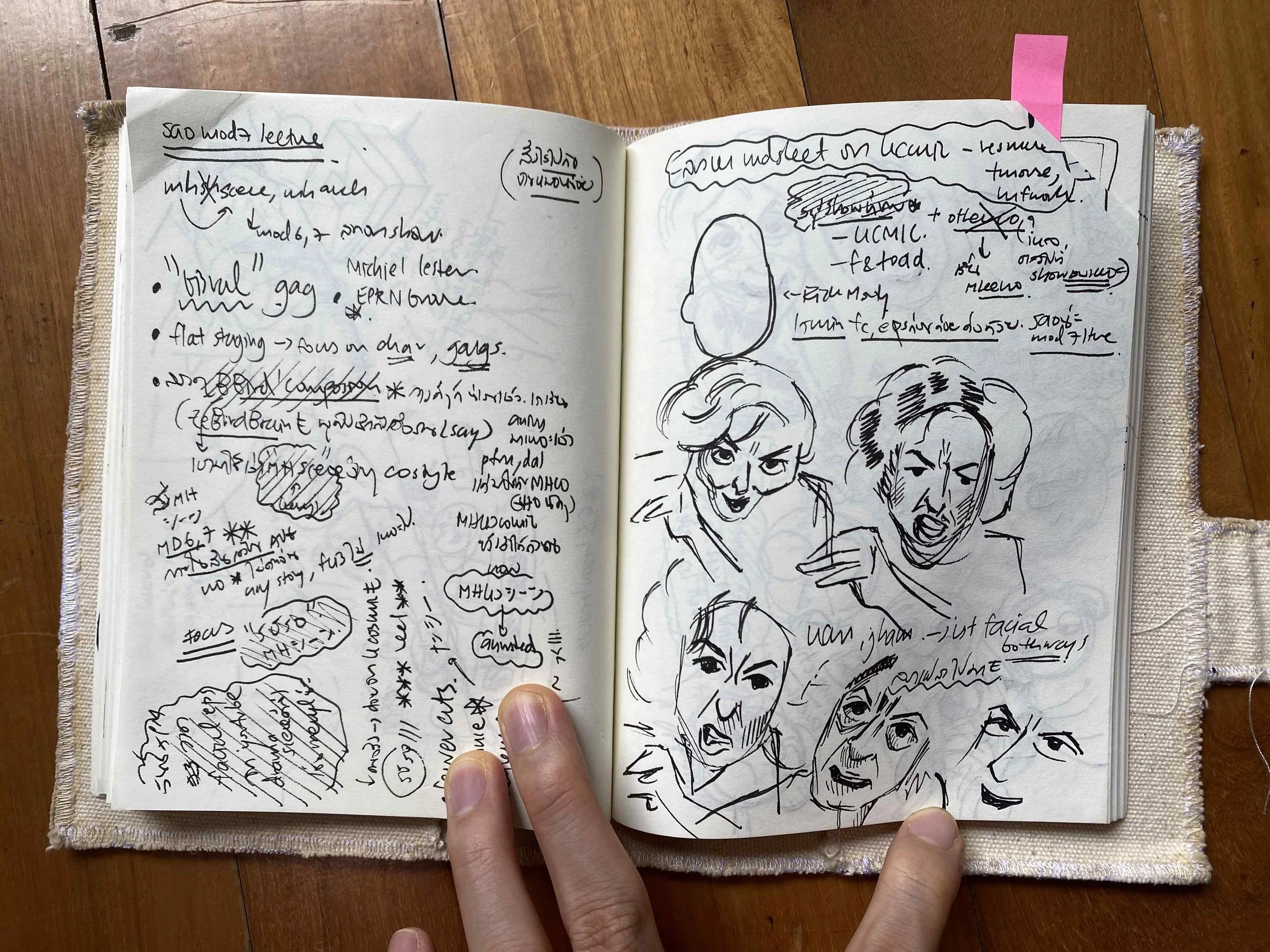 มีศึกษา facial expression จาก Meryl Streep ครับ วาดไปก็พยายามลอง simplify ลงมาครับ