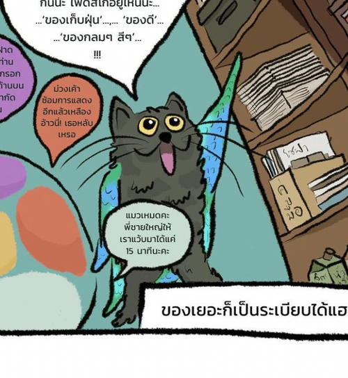 16. แมวเหมด