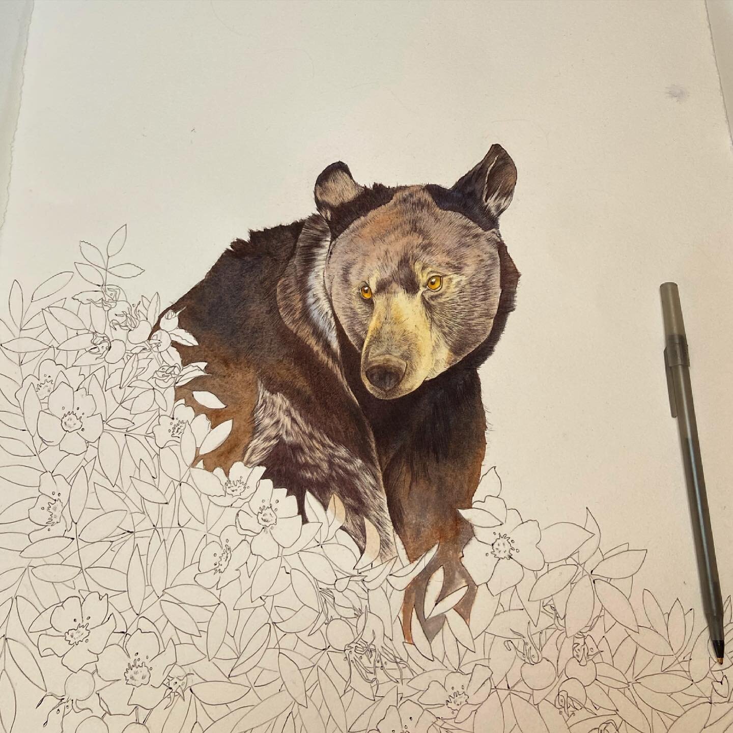 Slow progress on this teddy 🐻
.
.
.

#wip #gouache #watercolor #ballpointpen #painting #drawing #drawings #illustration #art #sketch #penandink #bear #inktober #inktober52 #inktober2021 #pendrawing #ballpointpendrawing #ballpointpenart #pendrawing #