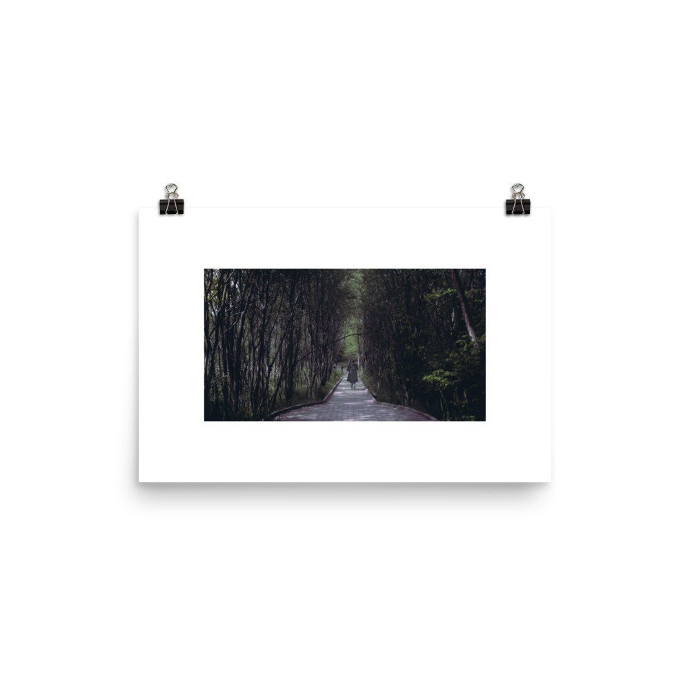 https://i.etsystatic.com/44368742/r/il/337daf/5146000853/il_fullxfull.5146000853_lu6y.jpg