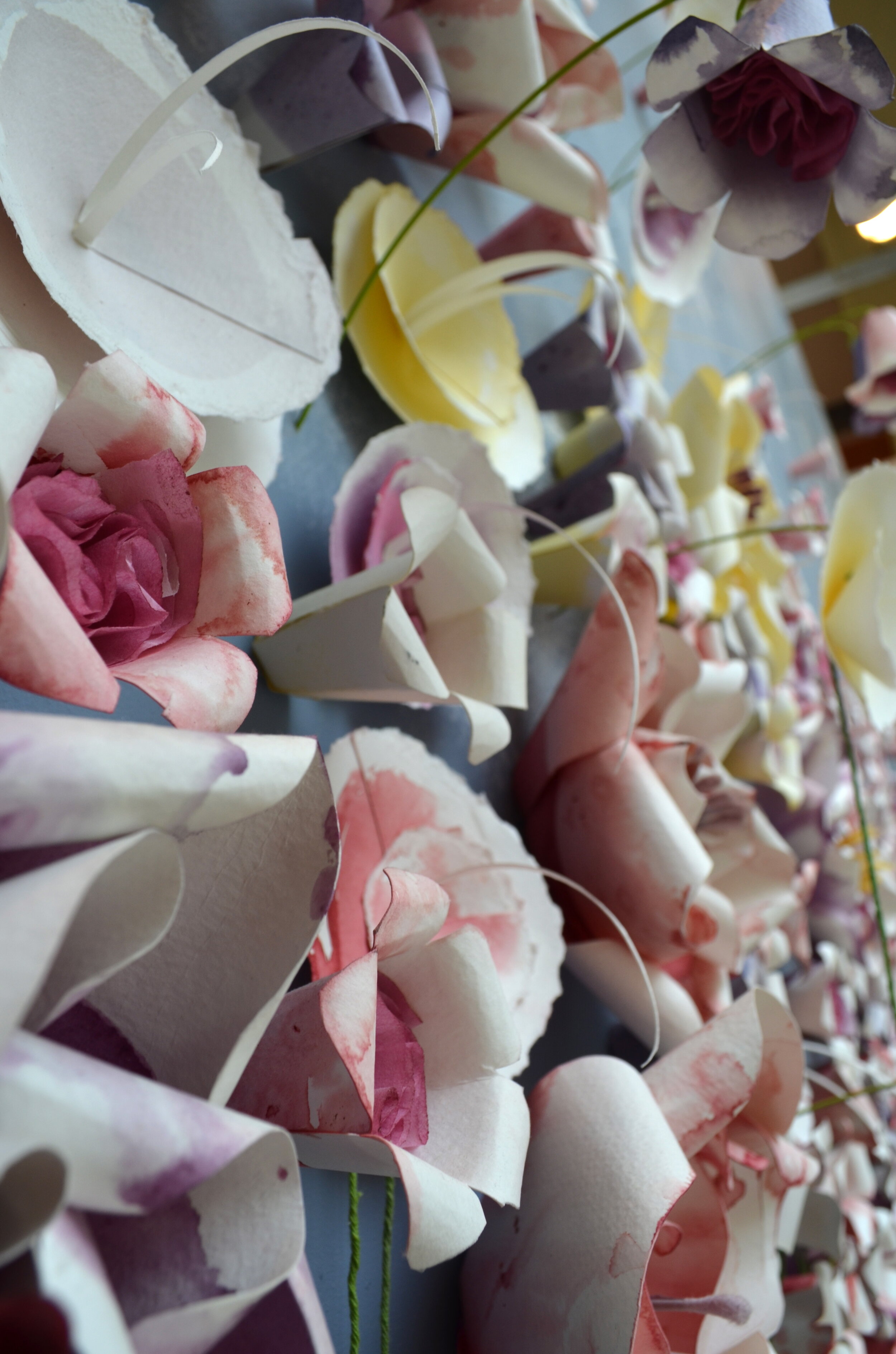 DSC_0140.jpeg