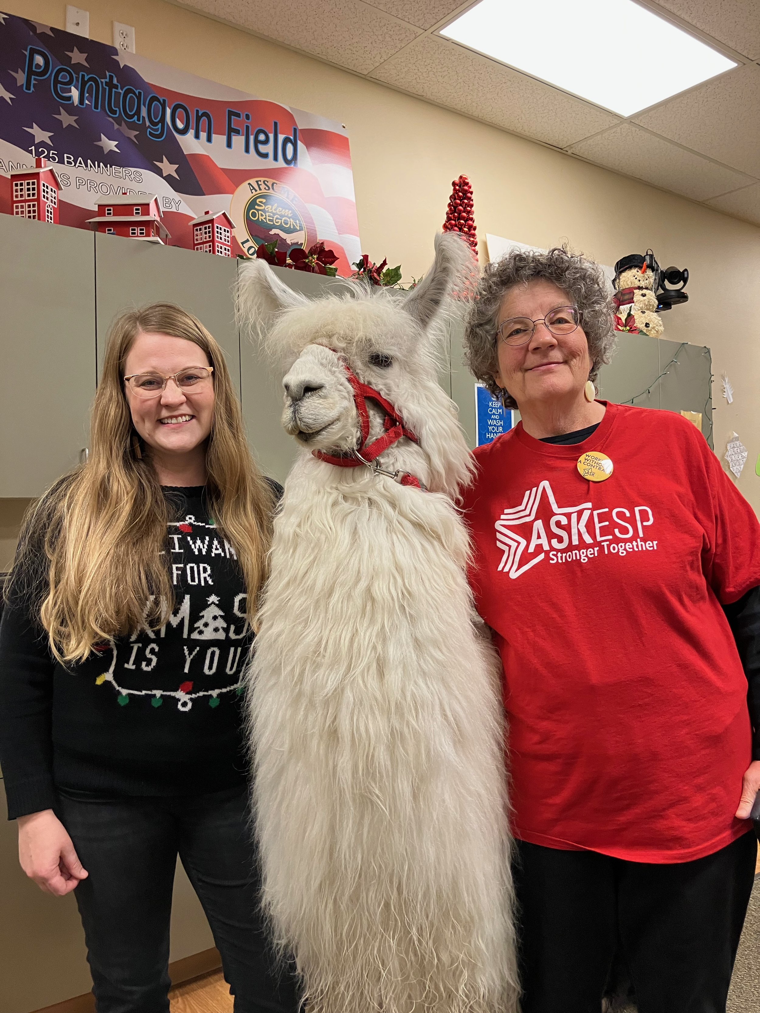 Ashley Carson Cottingham at the AFSCME union hall with a member of ASK-ESP, Sarah Rohrs and Caesar the No Drama Laama.