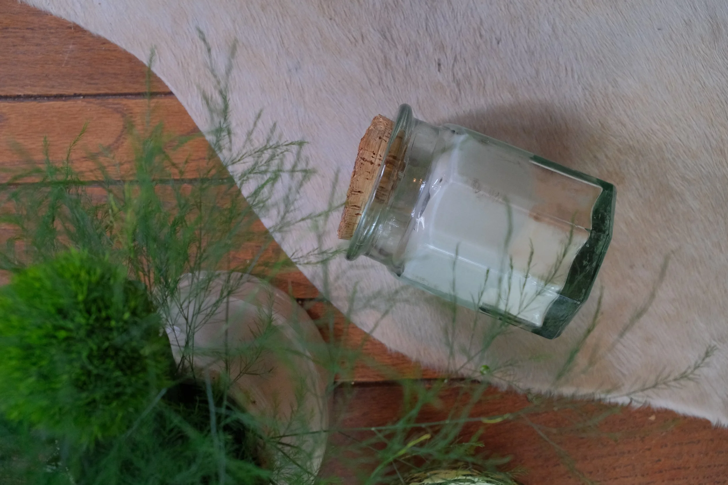 DSCF4544.JPG