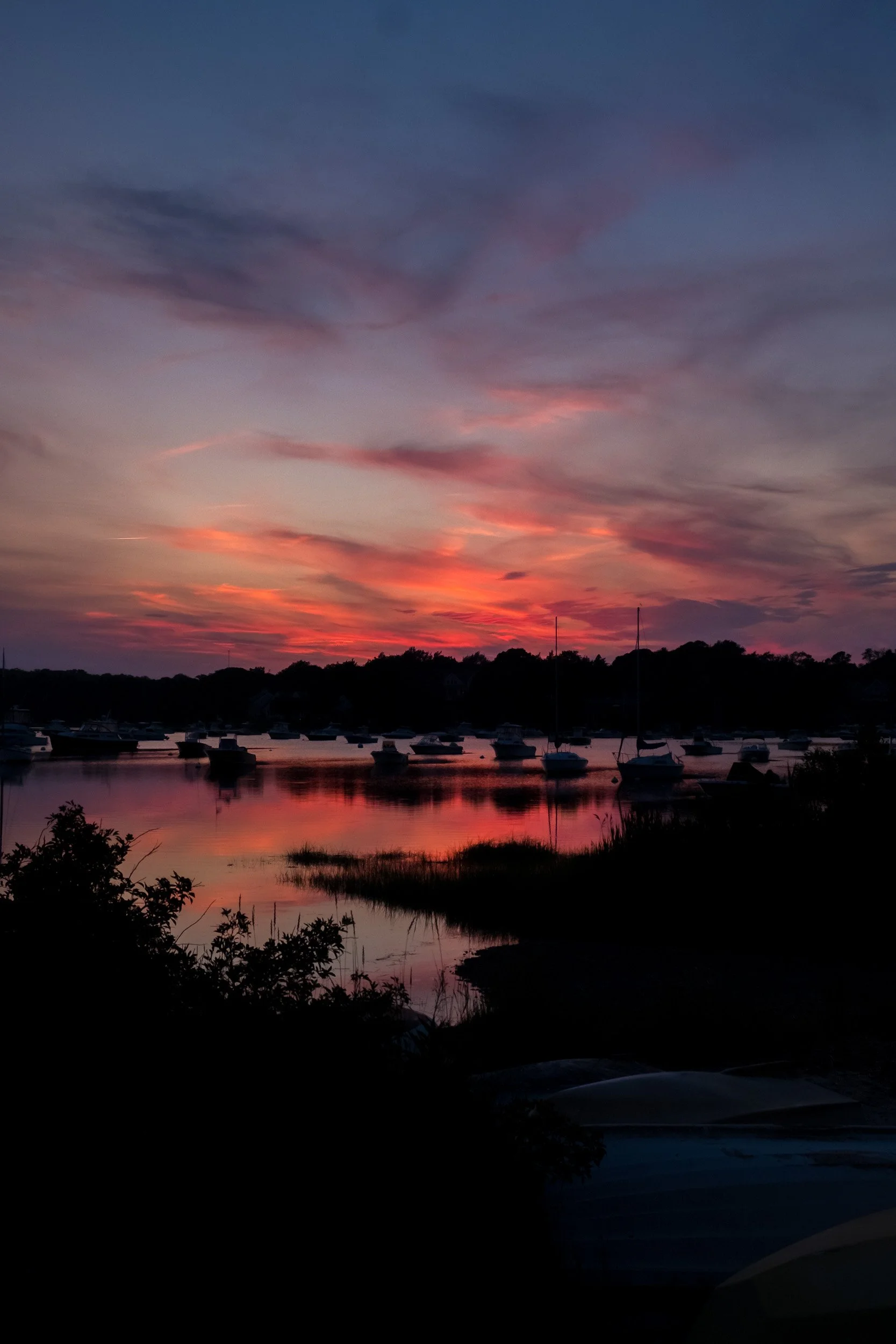 CapeCod2019-0052.jpg