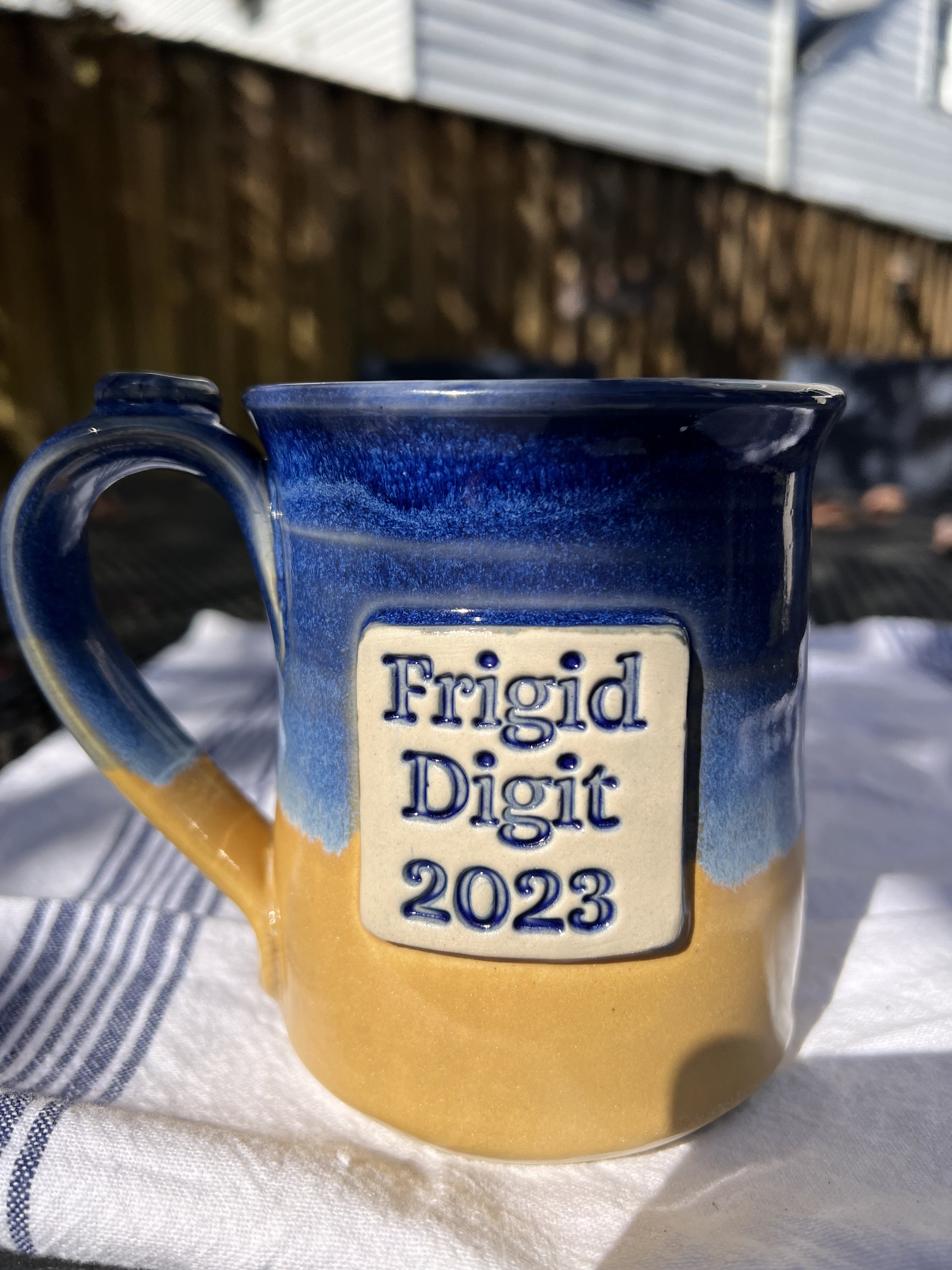 Custom awards for Frigid Digit 2023.jpeg
