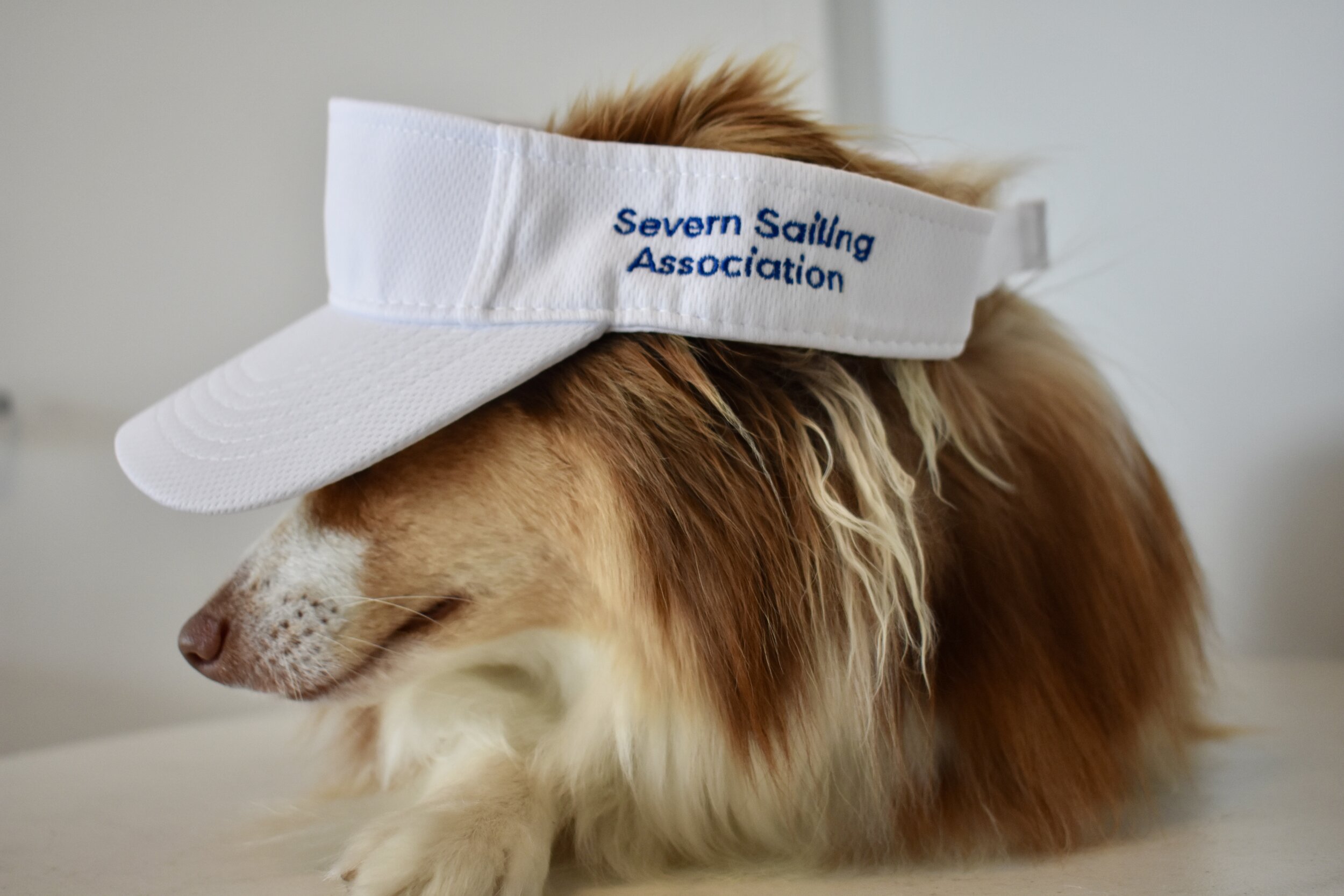 SSA Visor