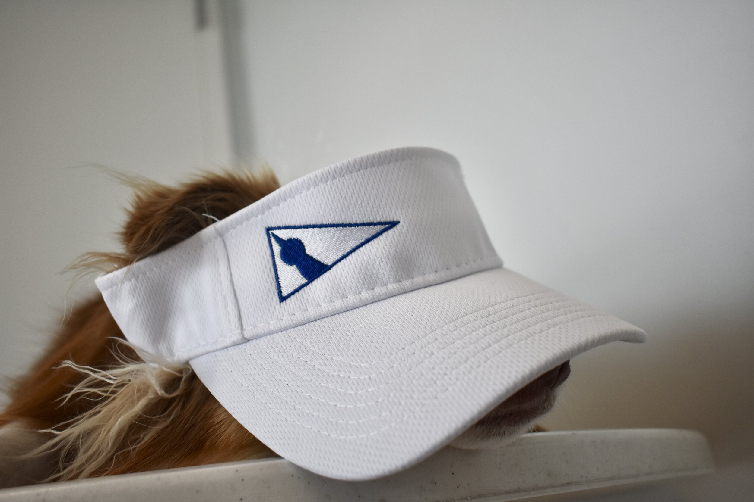 SSA Visor