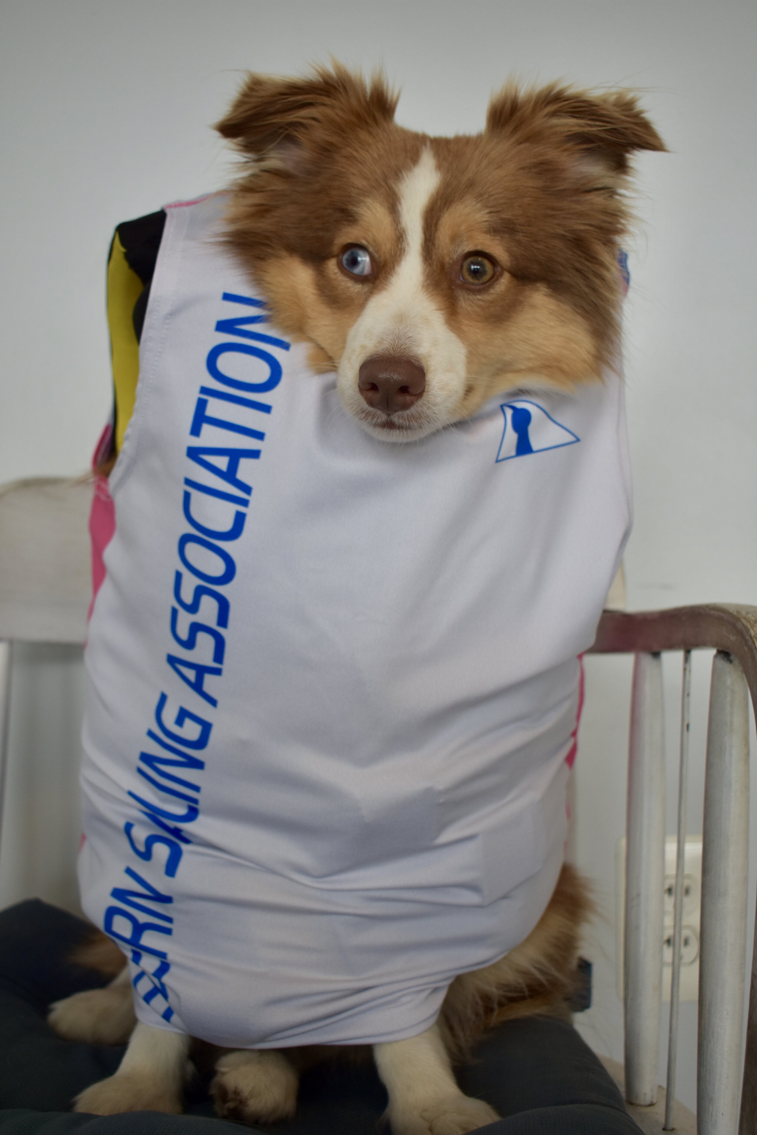 SSA Pinnie