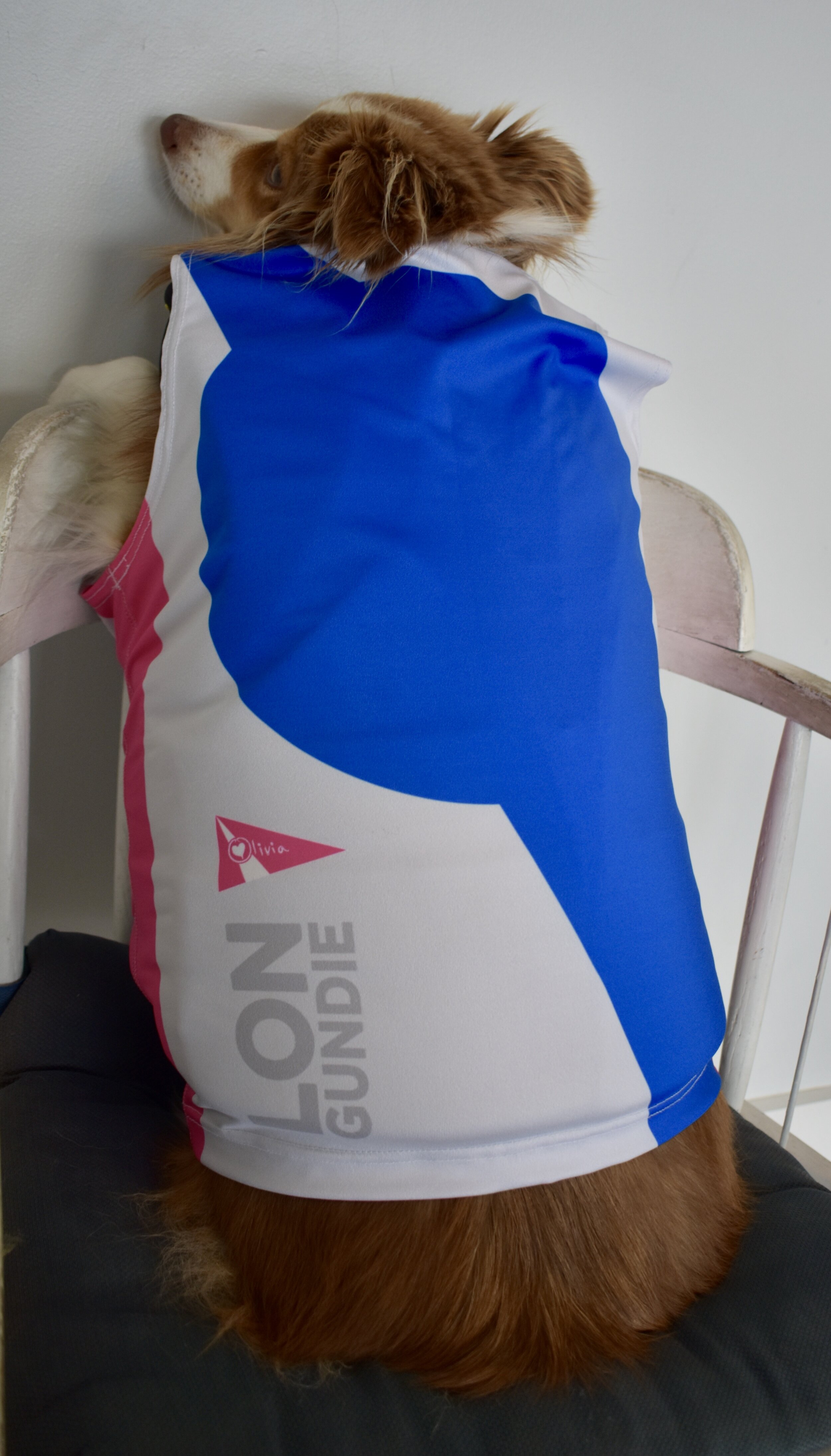 SSA Pinnie