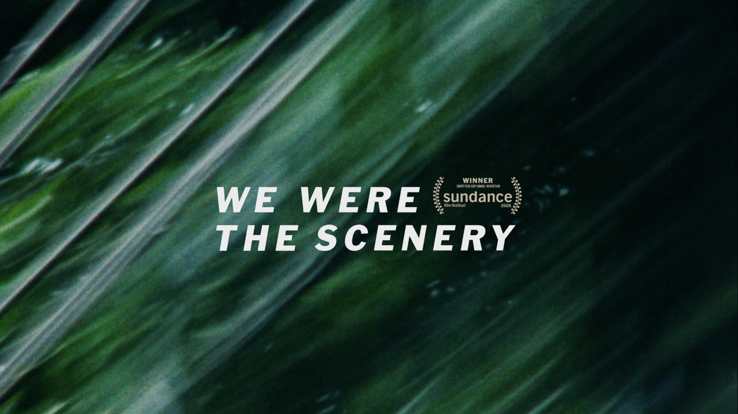 We Were The Scenery  | Original Score |  Winner, 2025 Sundance Short Film Jury Award: Nonfiction