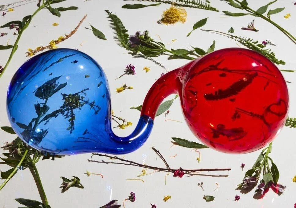 Album Review: Lamp Lit Prose by Dirty Projectors