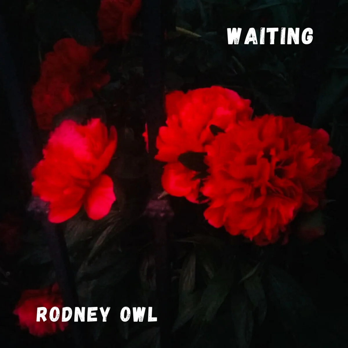 Rodney Owl debuts his new single, "Waiting", ahead of full album release