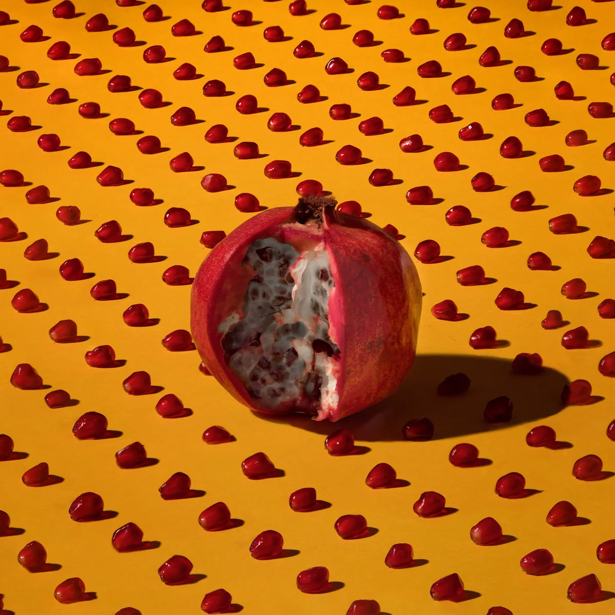 Plastic carve out their own unique sound on stellar debut record, "New Hands"