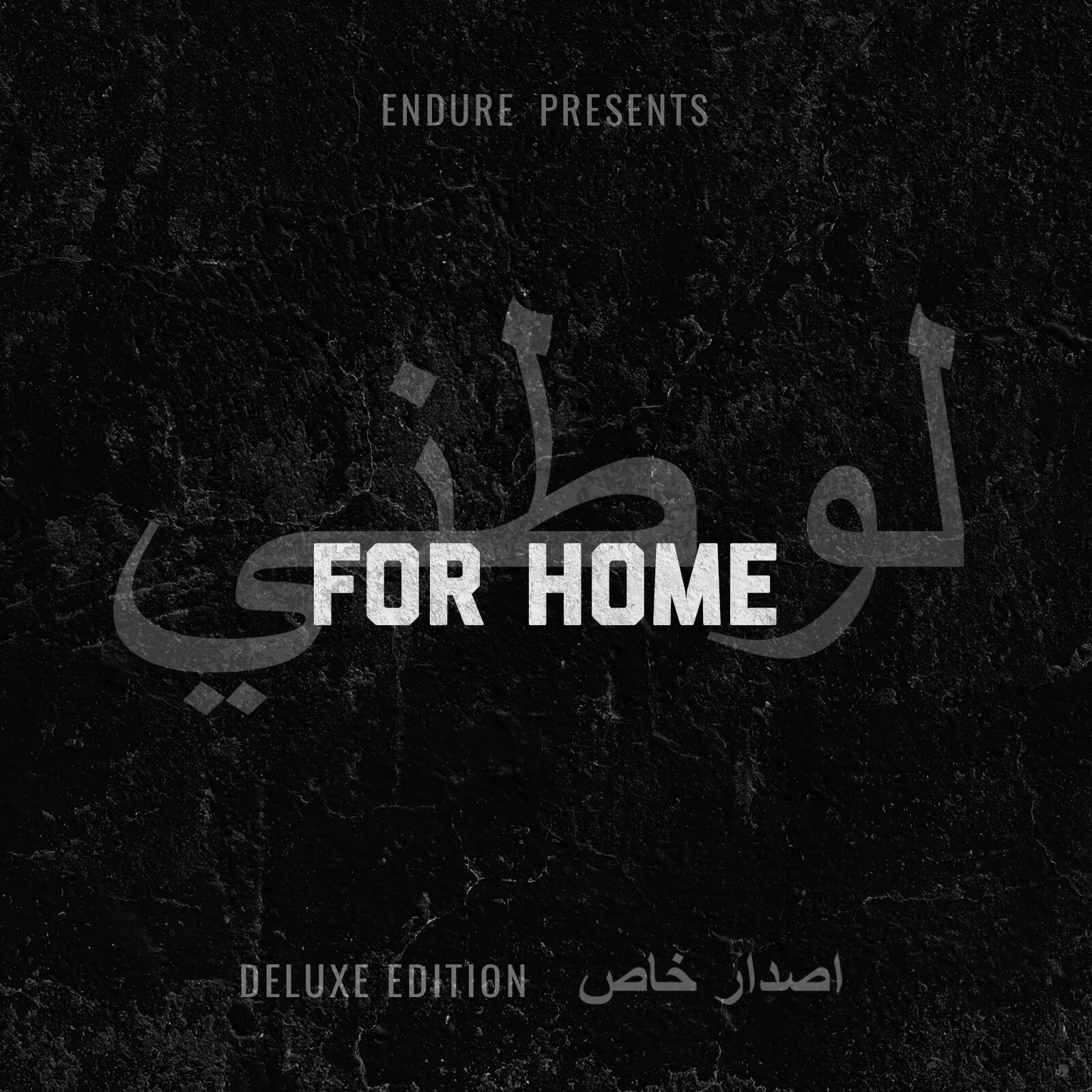 Jay Denton and ENDURE Studios share their massive collaboration record, "For Home"