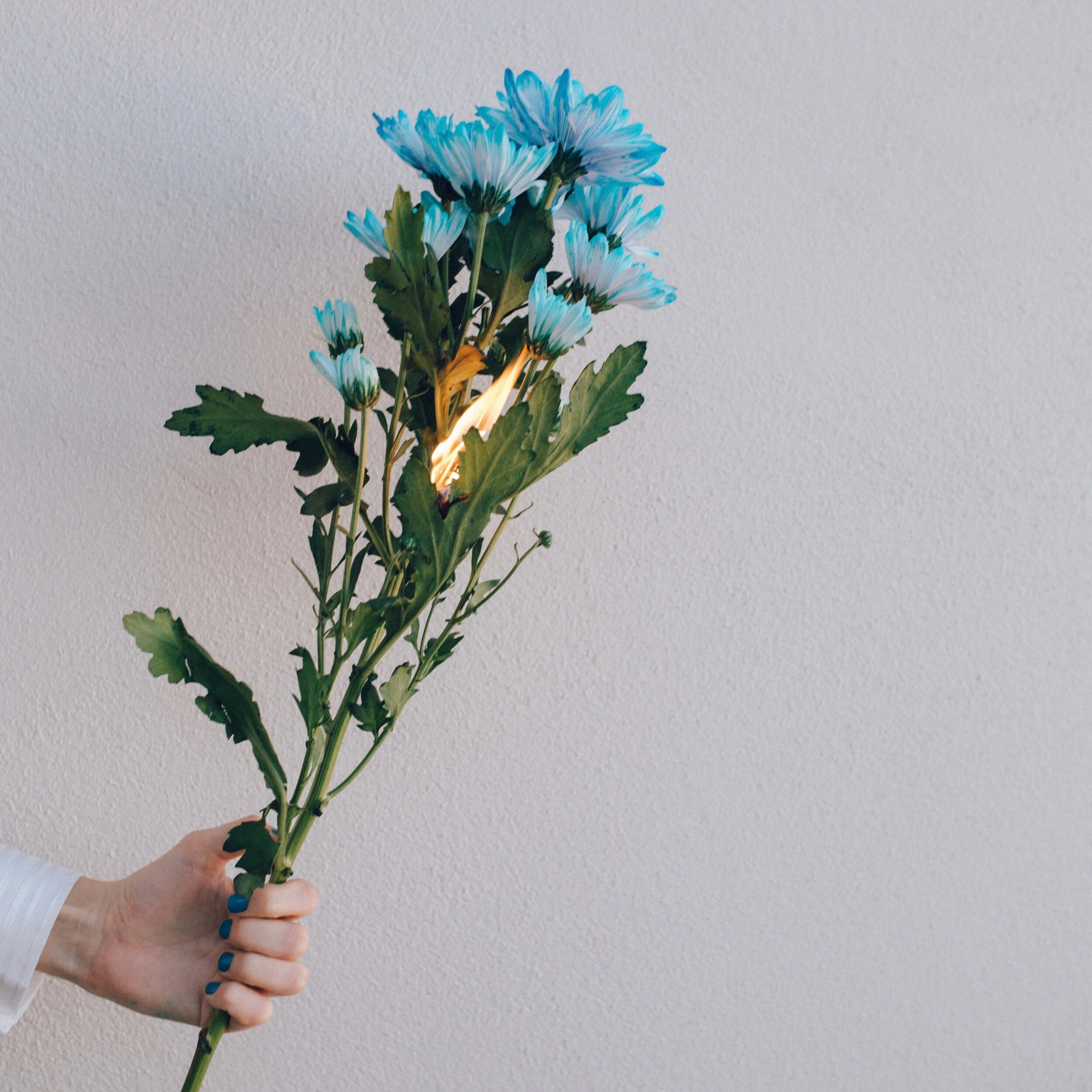 Lo follows up her successful EP with dreamy new single, "Away"