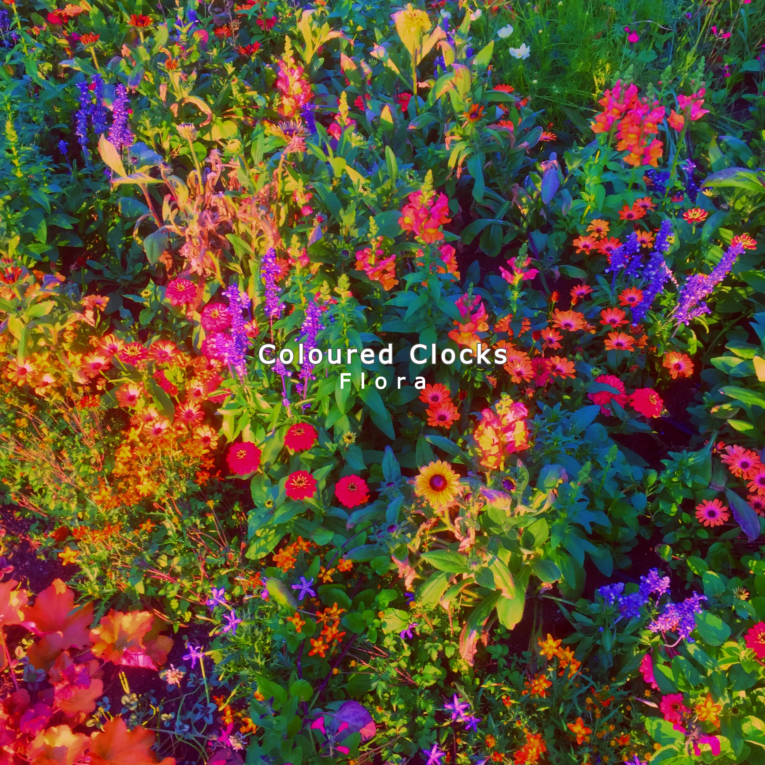 Coloured Clocks deliver a colorful performance on 6th album, "Flora"