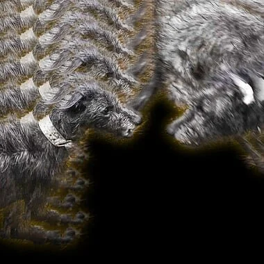 Marvin's Revenge returns to music on blaring new single, "St. Alban"