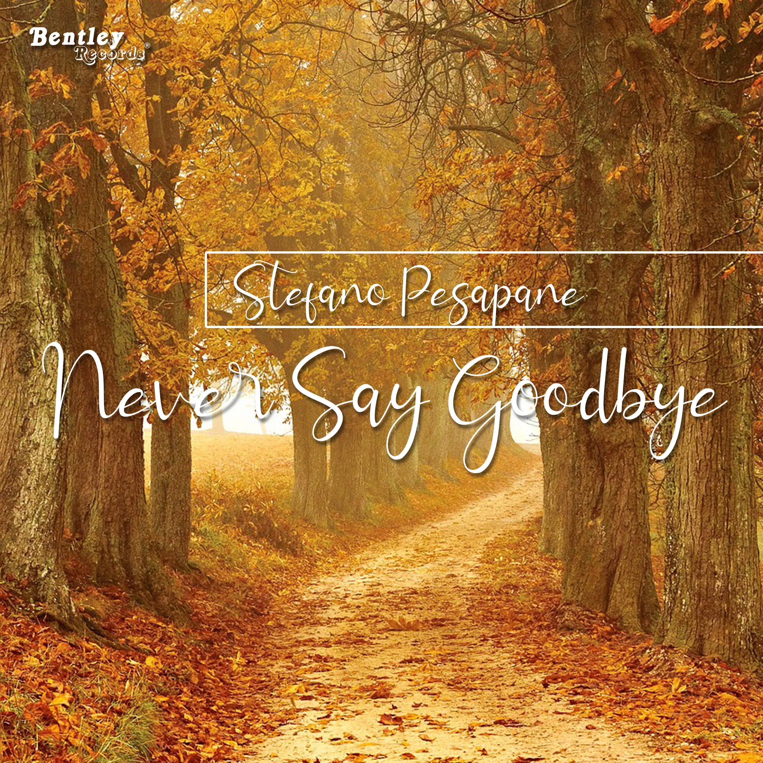 Stefano Pesapane shares awe-inspiring instrumental, titled "Never Say Goodbye"