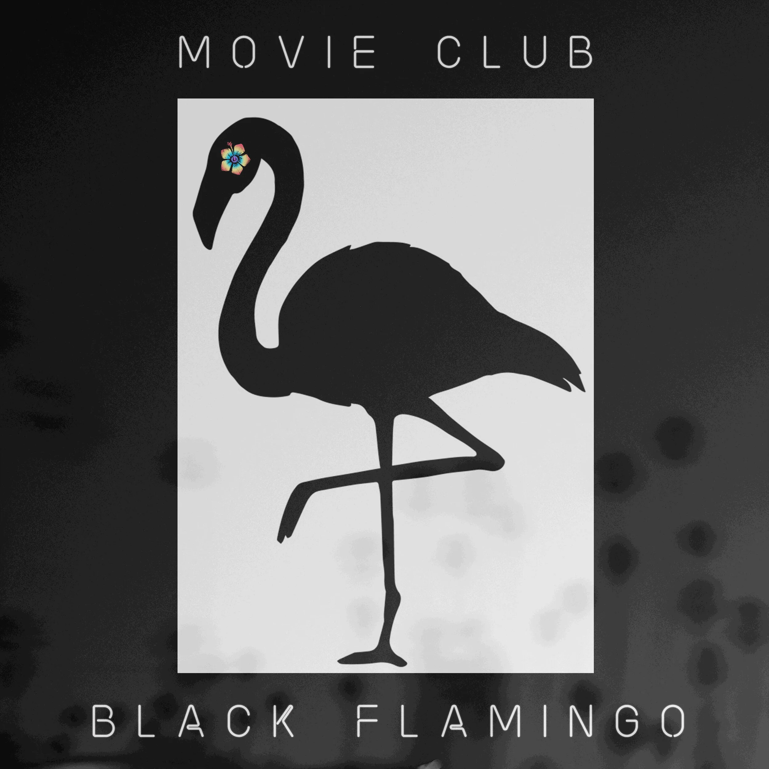 Movie Club debut astonishing instrumental record, "Black Flamingo"