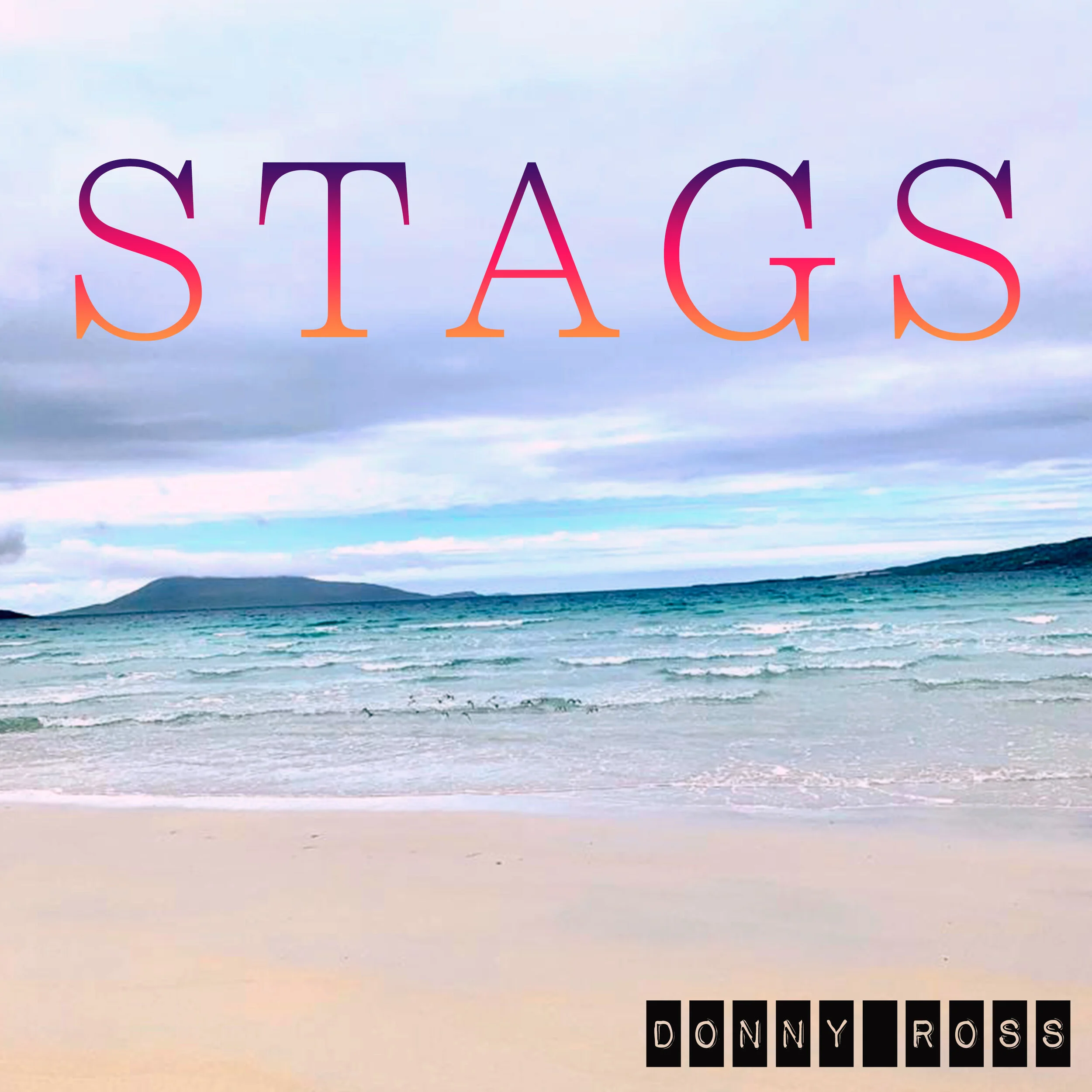 Donny Ross teases a new track, "S.T.A.G.S", off of his upcoming LP