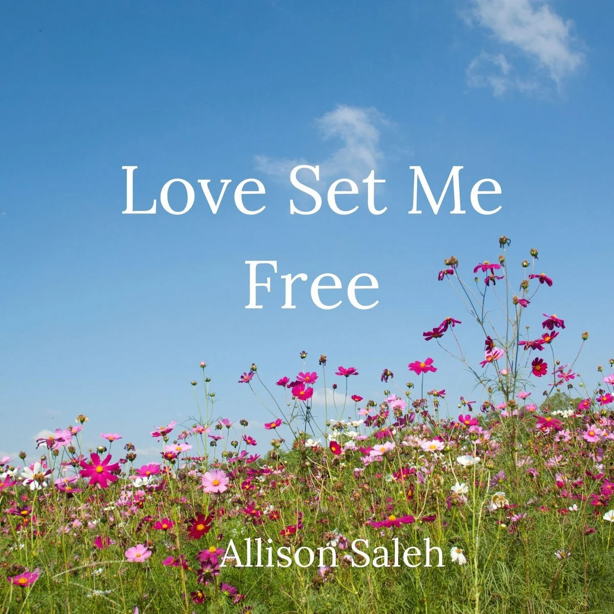 Allison Saleh returns with an incredibly upbeat record, "Love Set Me Free"
