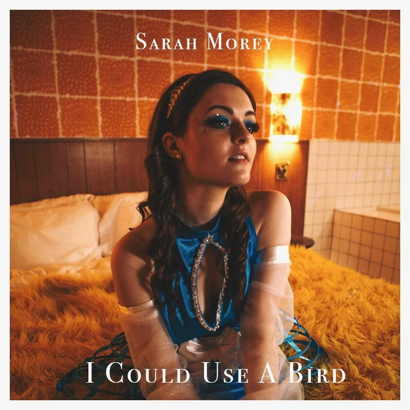 Sarah Morey crafts breathtaking new single, "I Could Use A Bird"