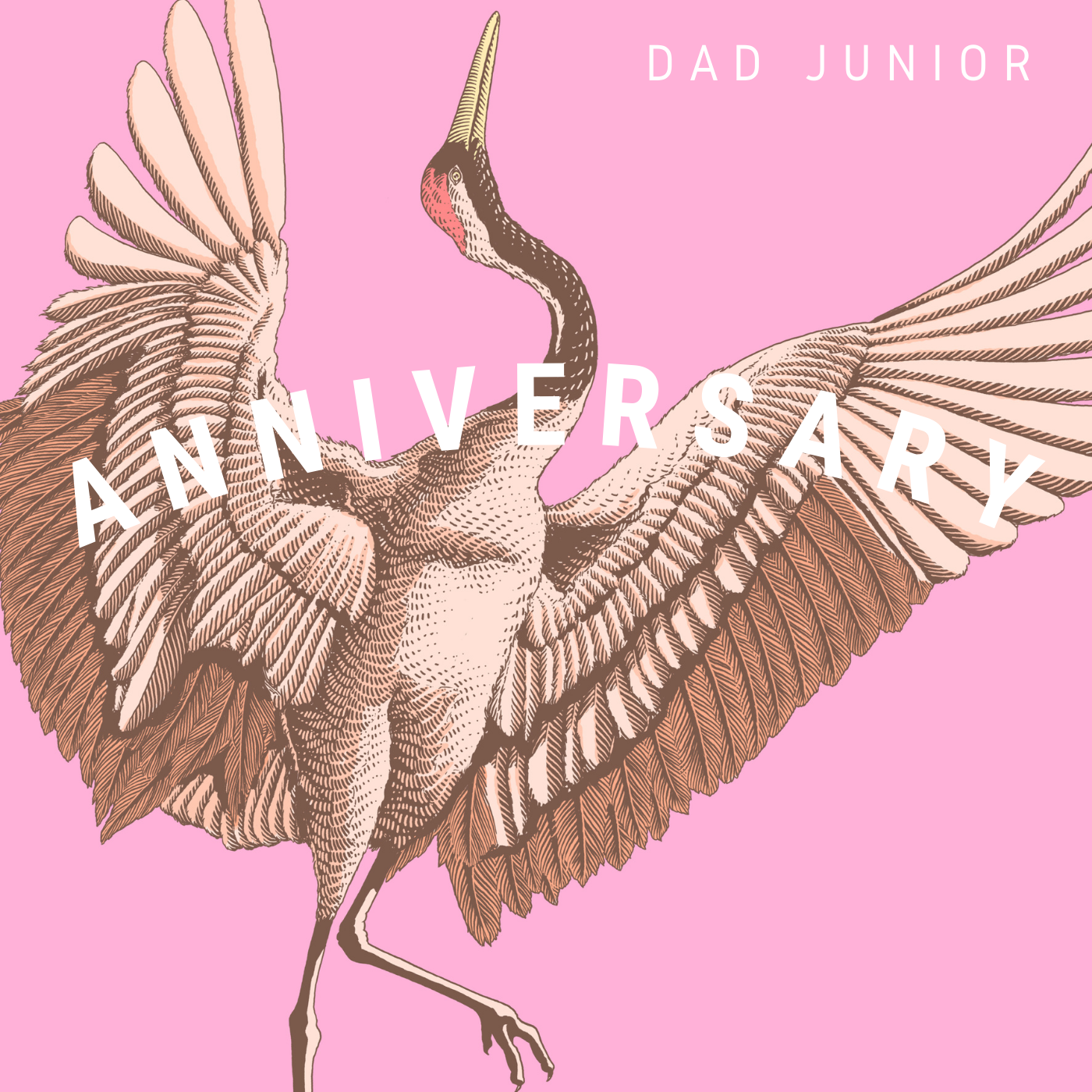 Dad Junior pivots his sound on chill new record, "Anniversary"
