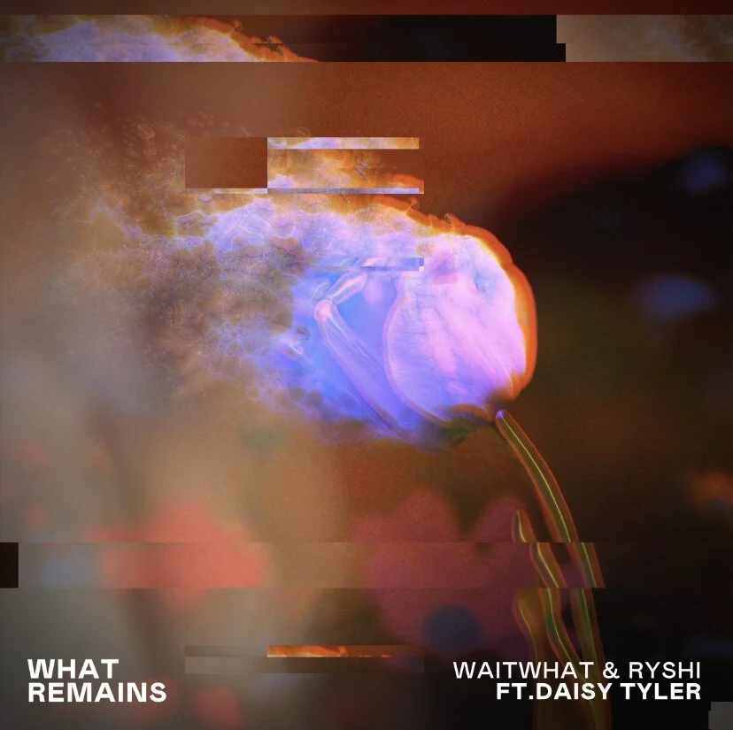 Daisy Tyler excels on waitwhat &amp; RySHi's latest single, "What Remains"