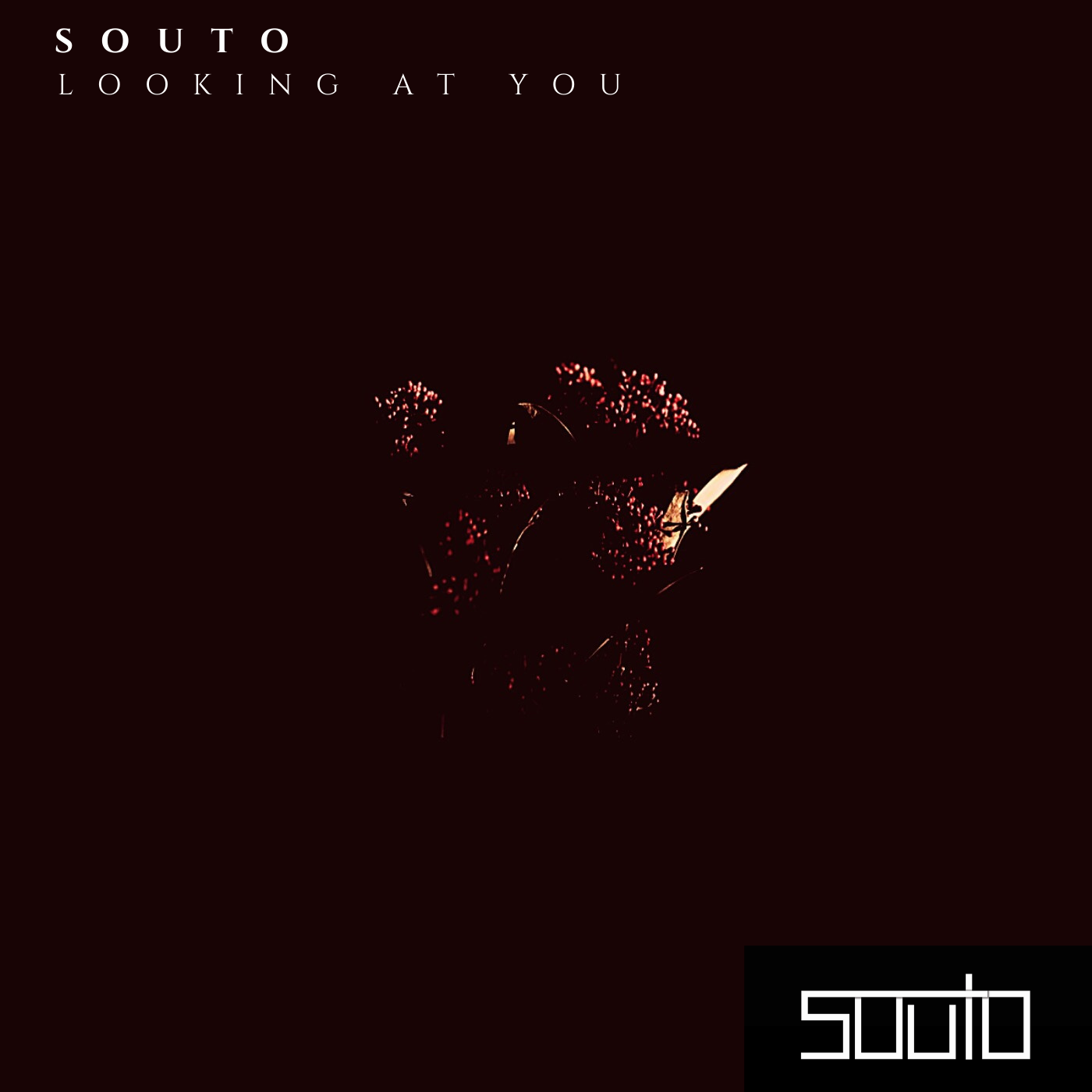 Souto creates paradise on summer-centric single, "Looking At You"