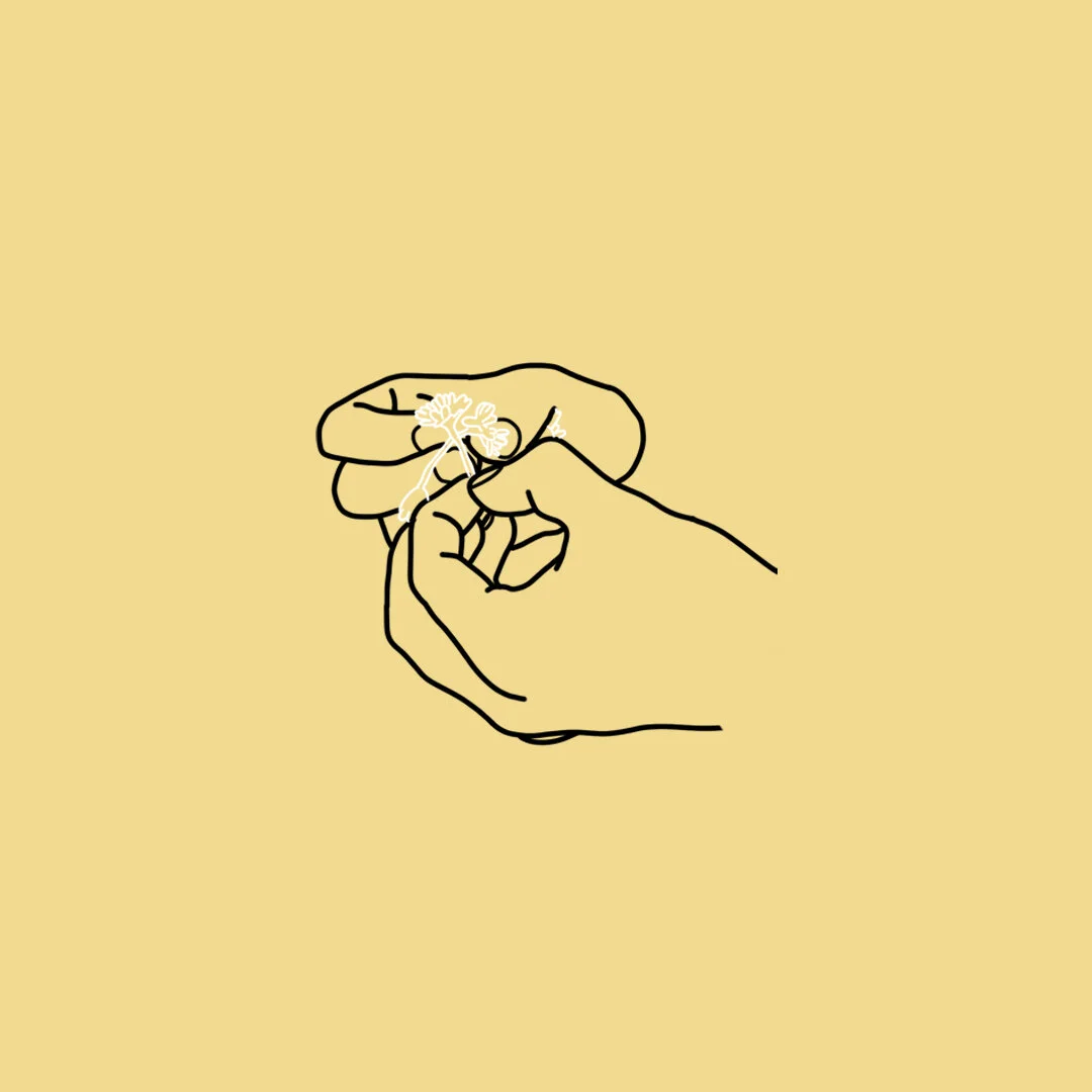 Chris Pidsley crafts perfect summer EP, "Daisies"