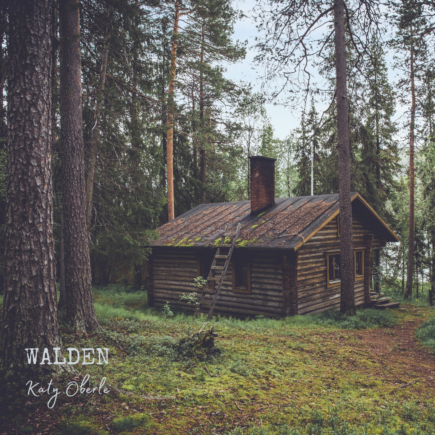 Katy Oberle generates peace &amp; serenity with new single, "Walden"