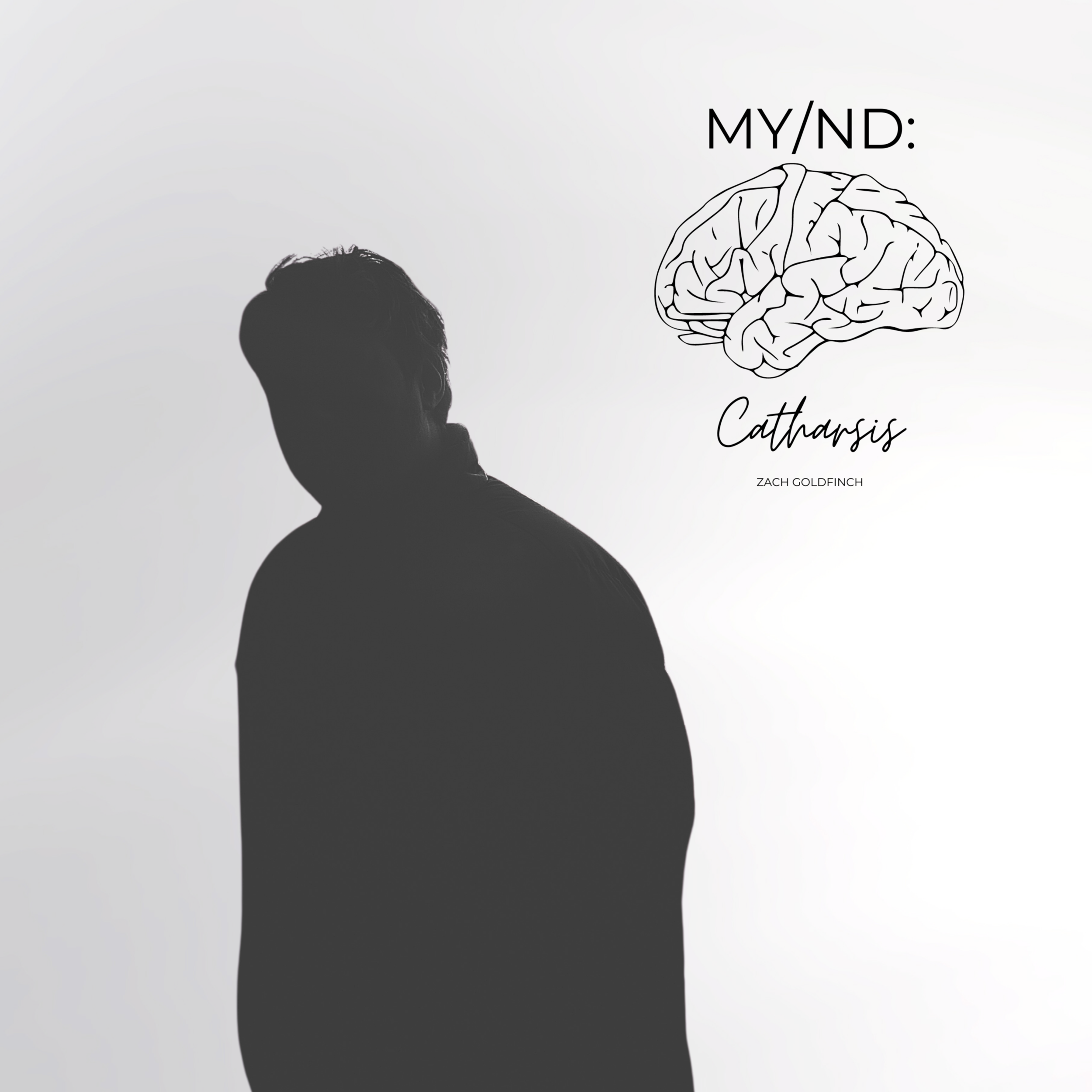 Zach Goldfinch details his genre-expansive record, "MY/ND: Catharsis" - Interview