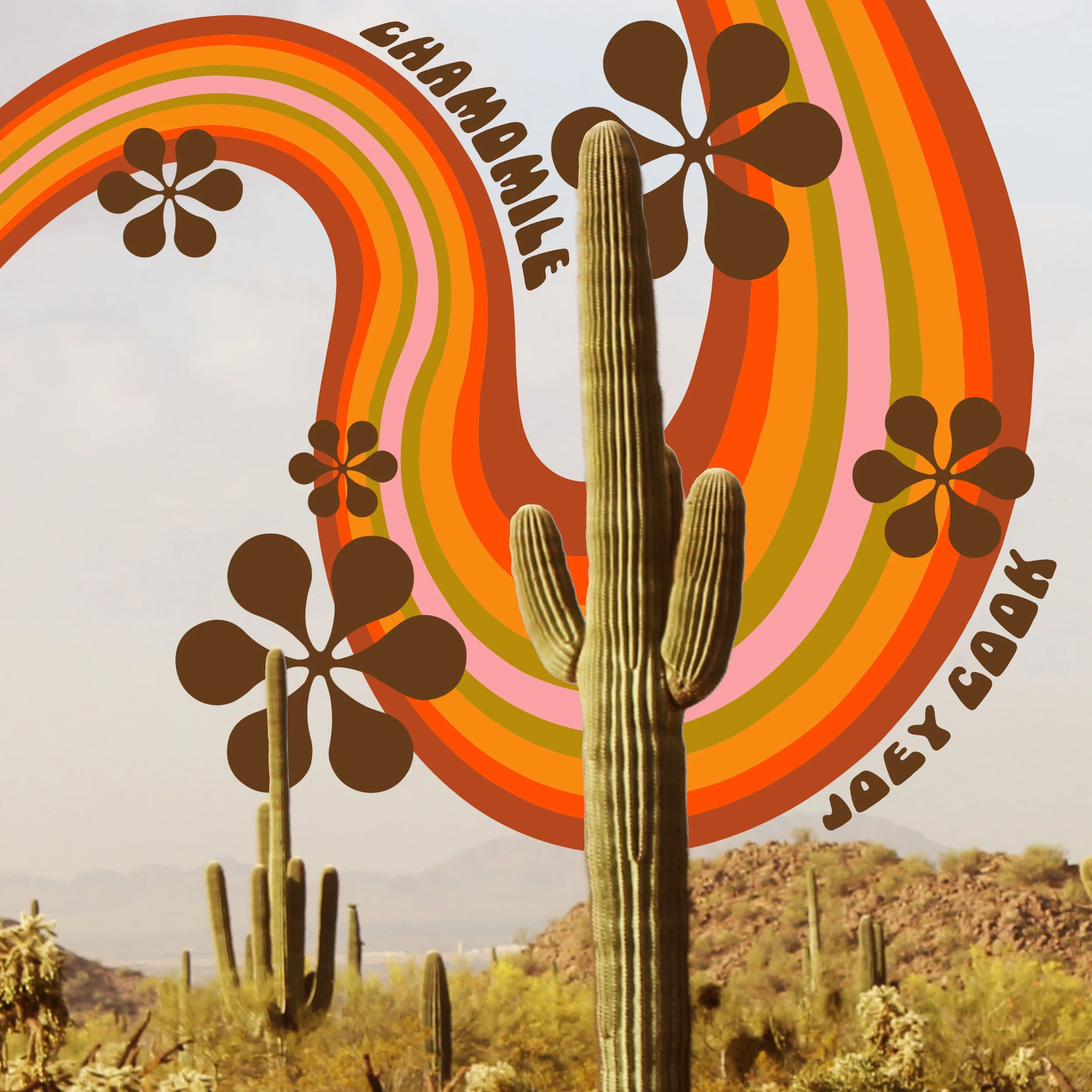 Joey Cook details her striking new single, "Chamomile" - Interview