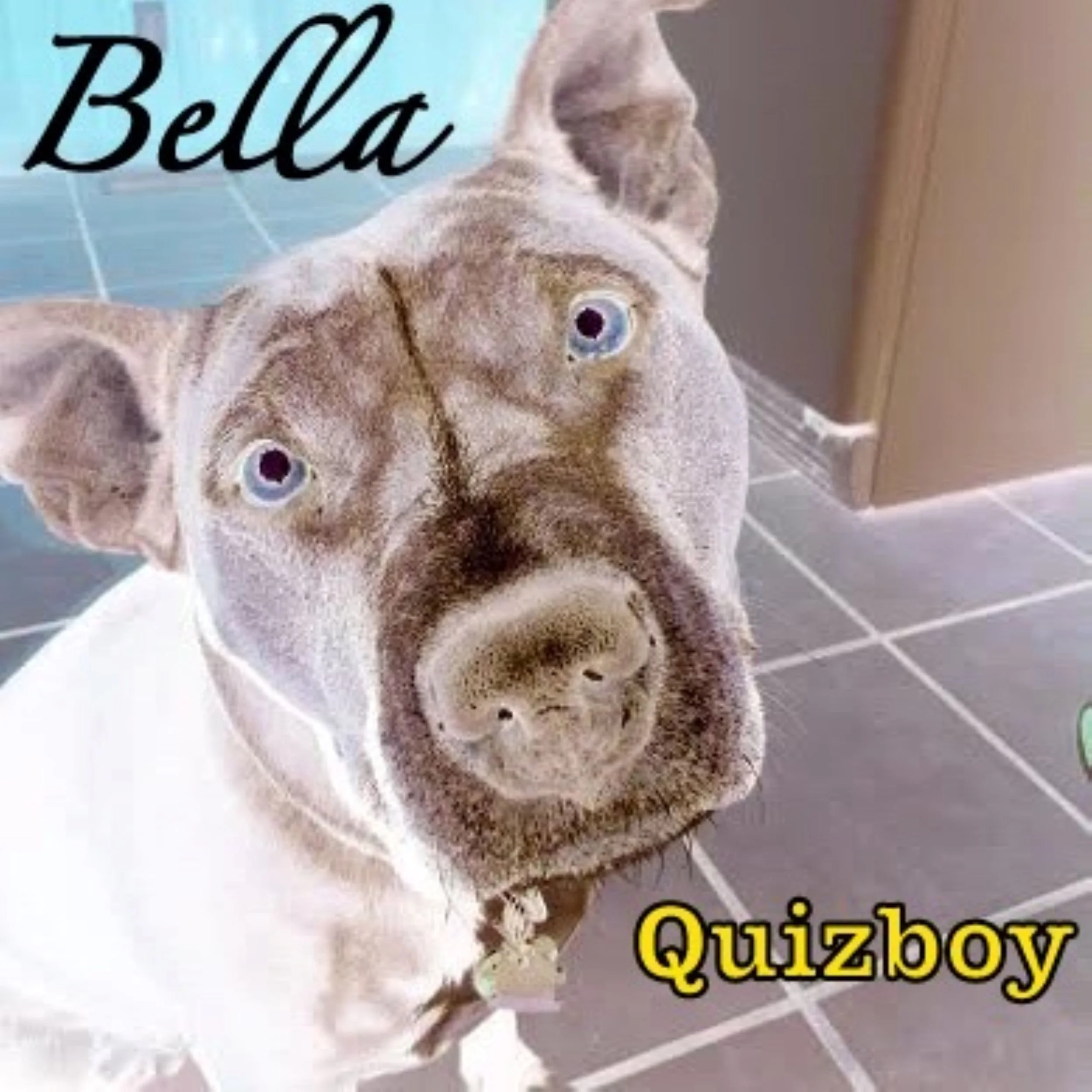 Quizboy gets personal on his powerful new record, "Bella"