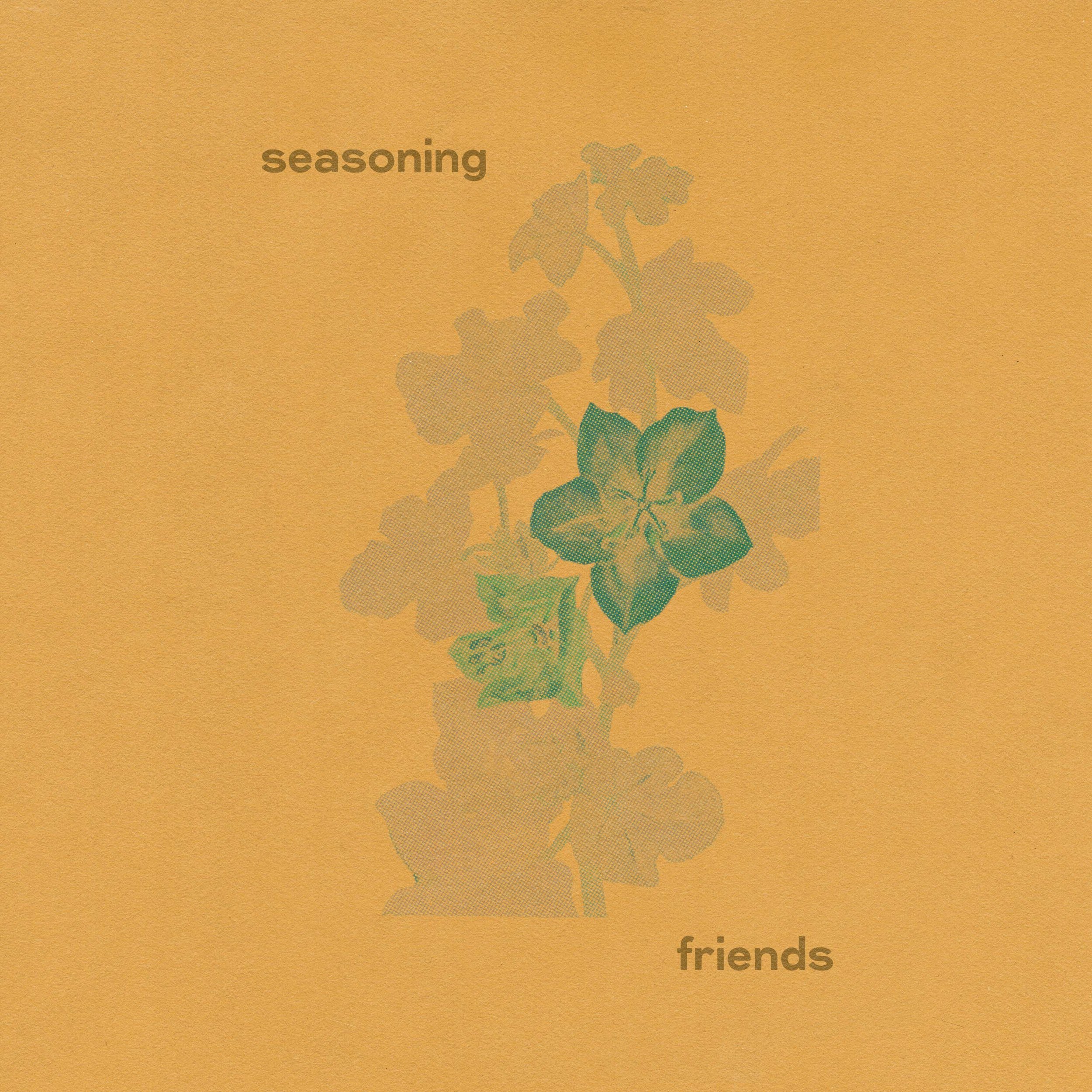 Seasoning deliver dreamy new single "Friends", off upcoming EP