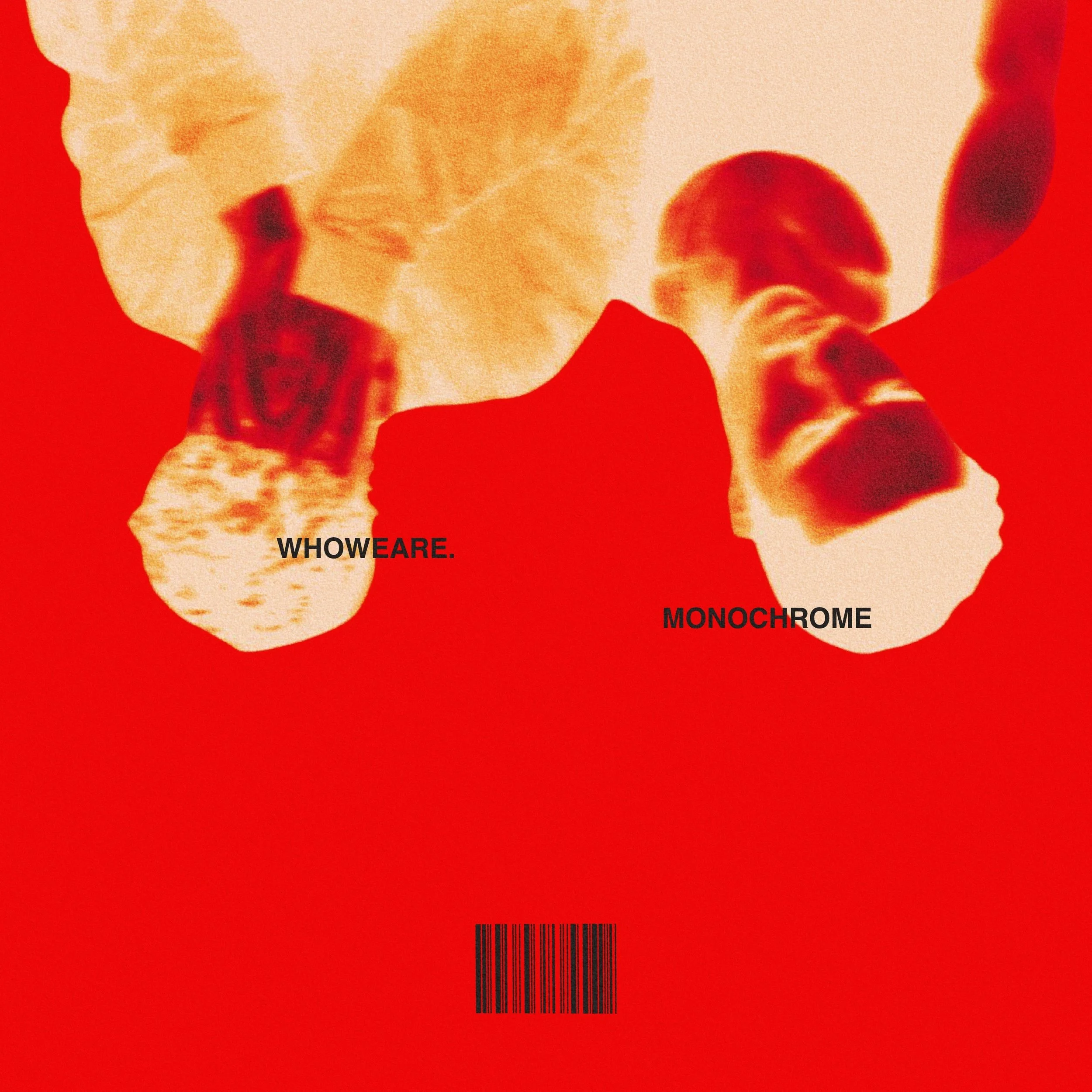 MONOCHROME over deliver on outstanding debut, "WHO WE ARE"