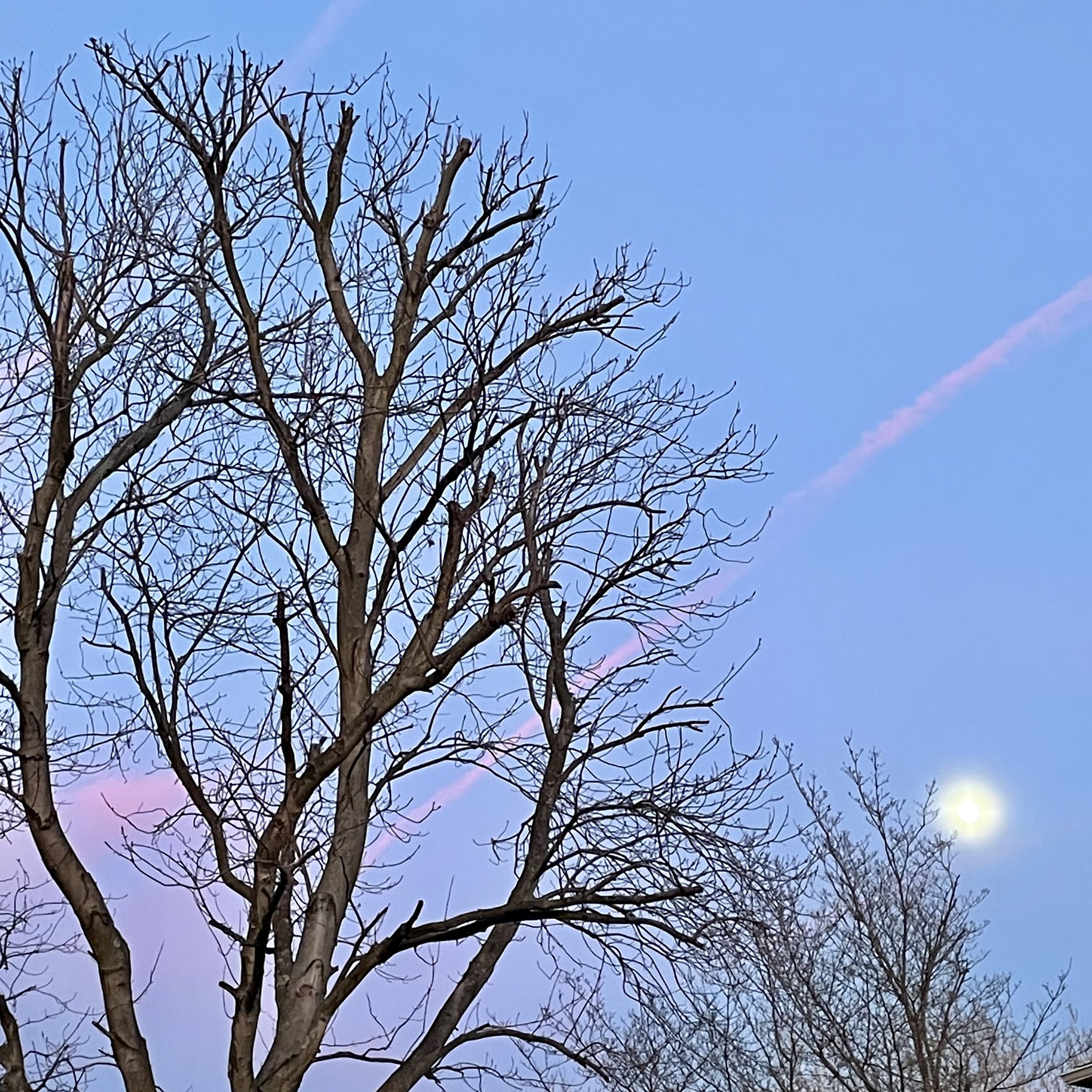 Signal Valley shares incredibly diverse 5th LP, "Gardens"