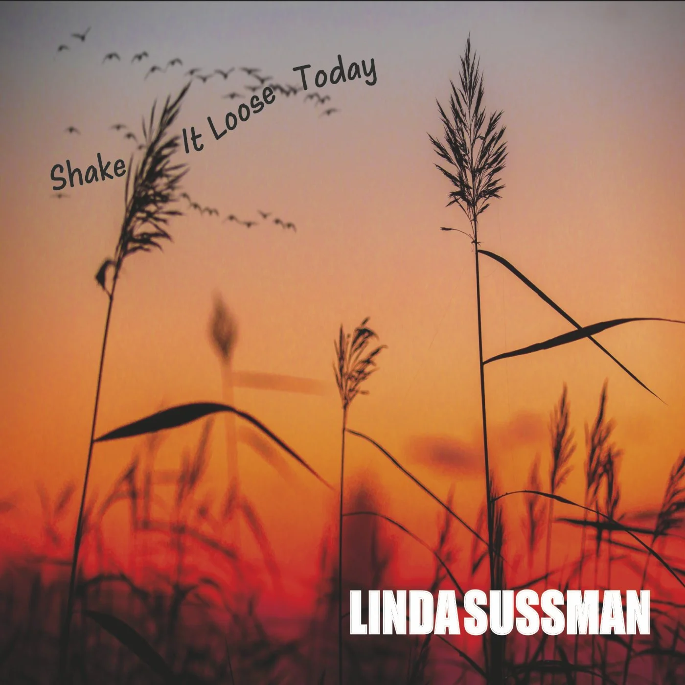 Linda Sussman excels on 4th full length record, "Shake It Loose Today"