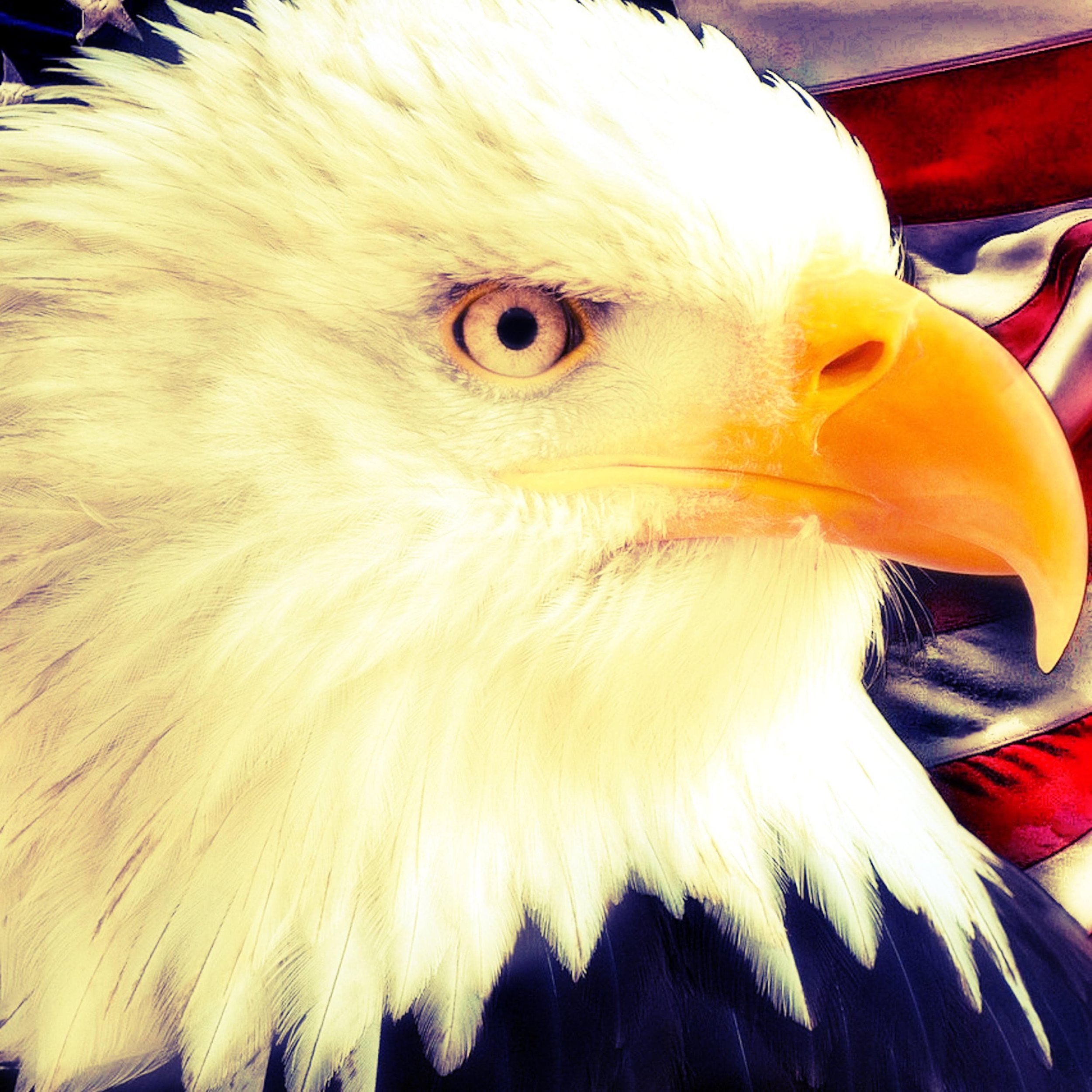 Peter Ace inspires on his instrumentally rich single, "Make It Happen"