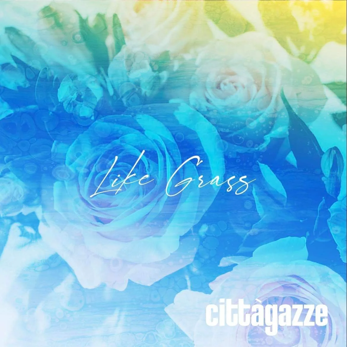 Cittàgazze mesmerize on audio-visual masterpiece, "Like Grass"