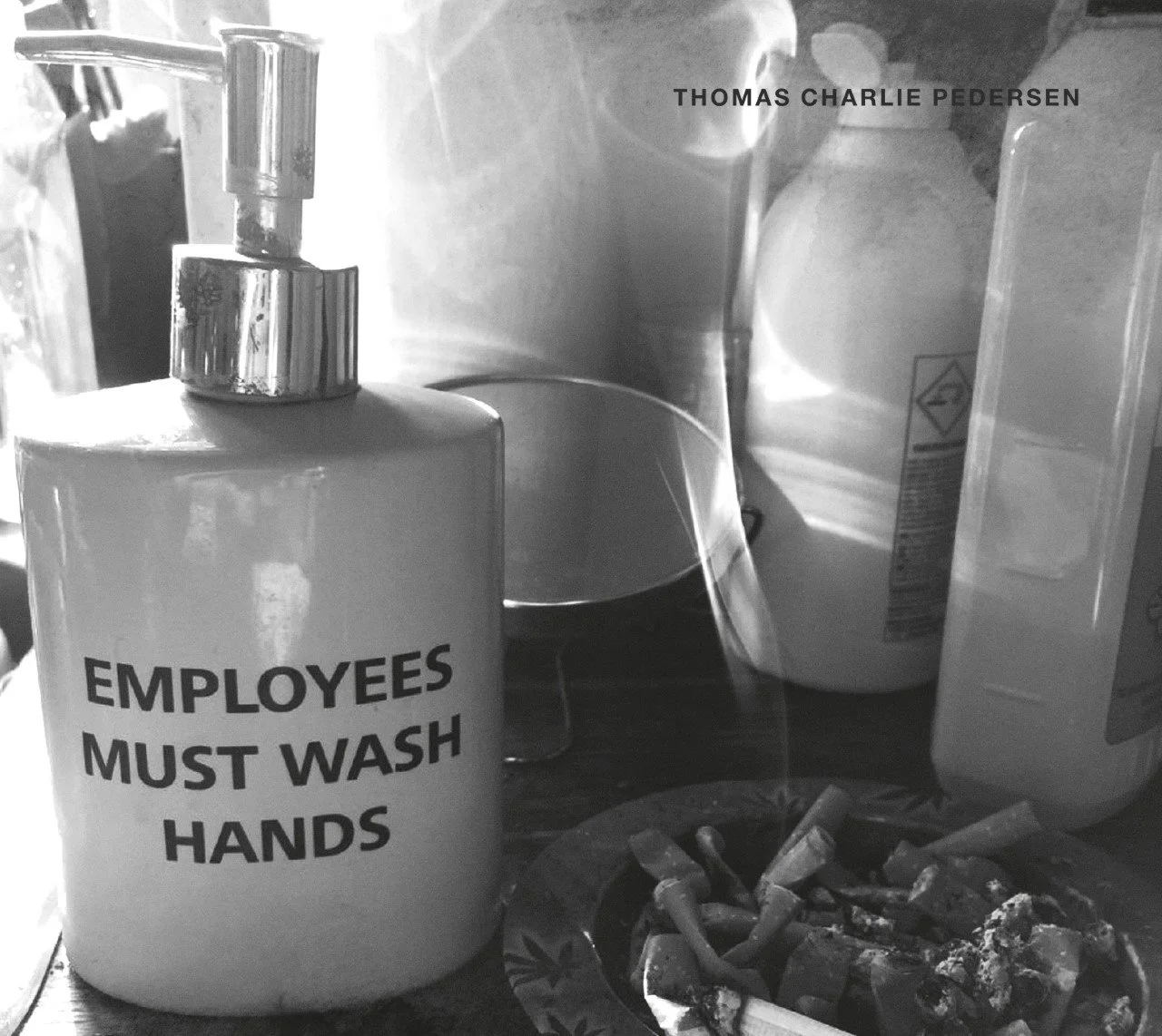 Thomas Charlie Pedersen excels on intricate new album, "Employees Must Wash Hands"