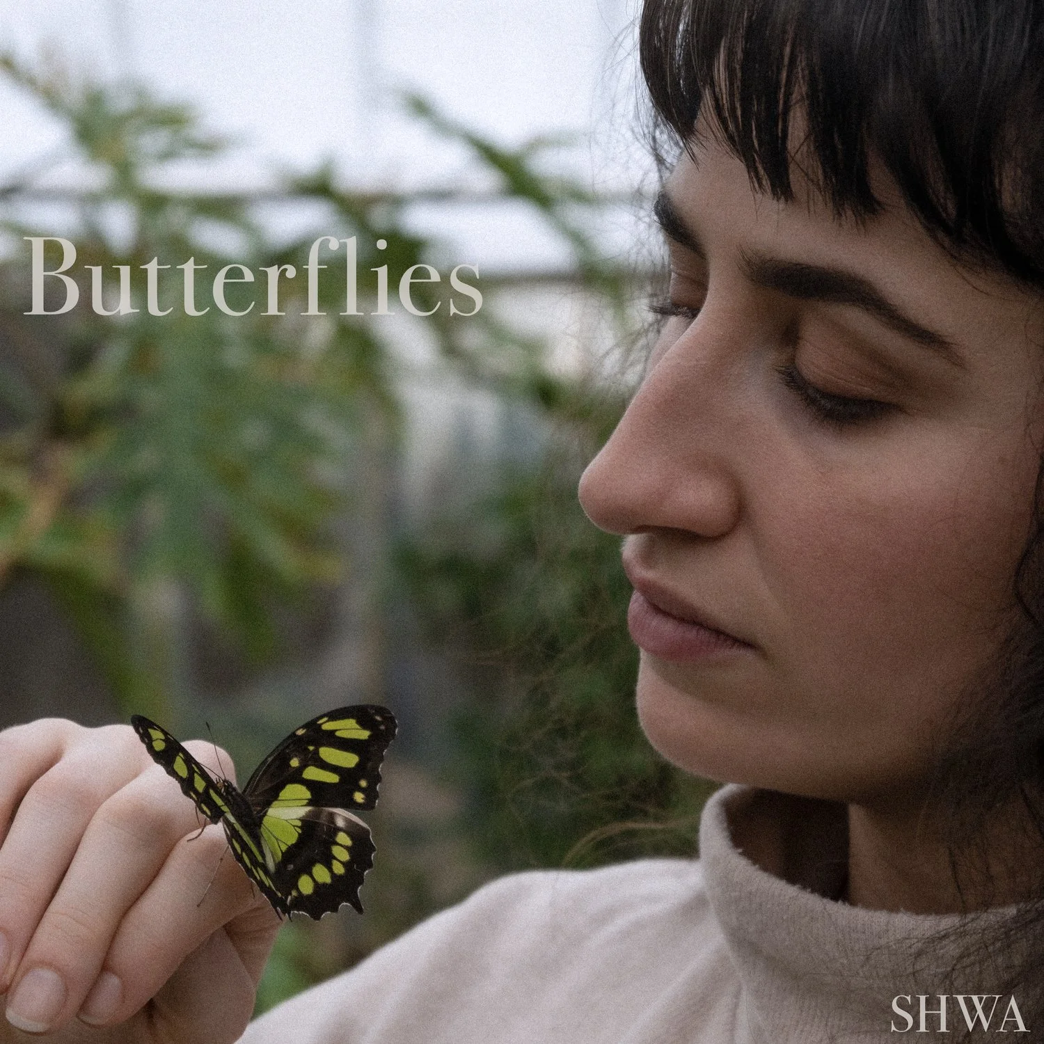 SHWA reaches great new heights on expressive single, "Butterflies"