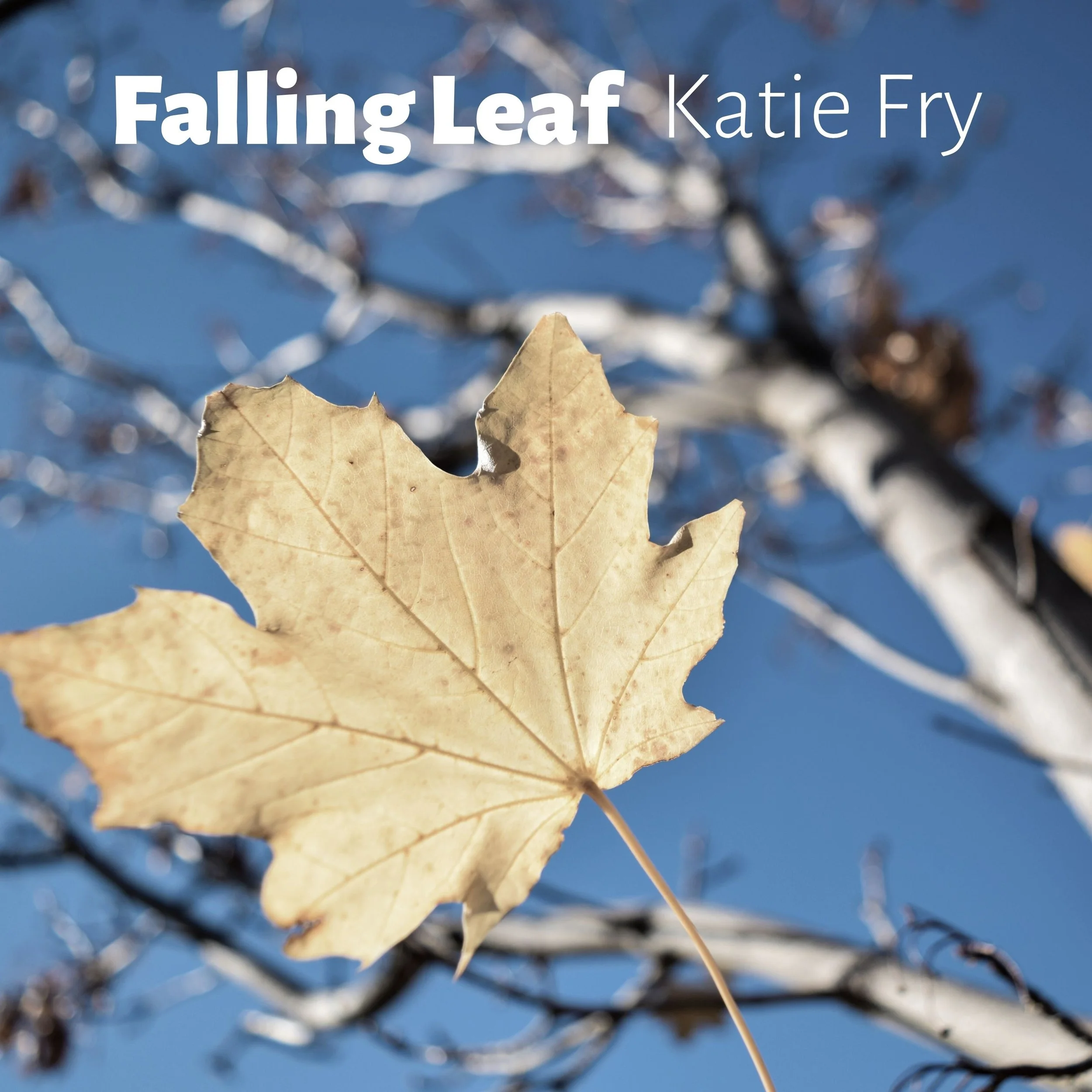 Katie Fry captivates on an angelic new single, "Falling Leaf"