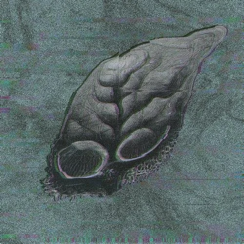 Plantoid crafts a transcendent groove of hypnotic brilliance with "Dog's Life"