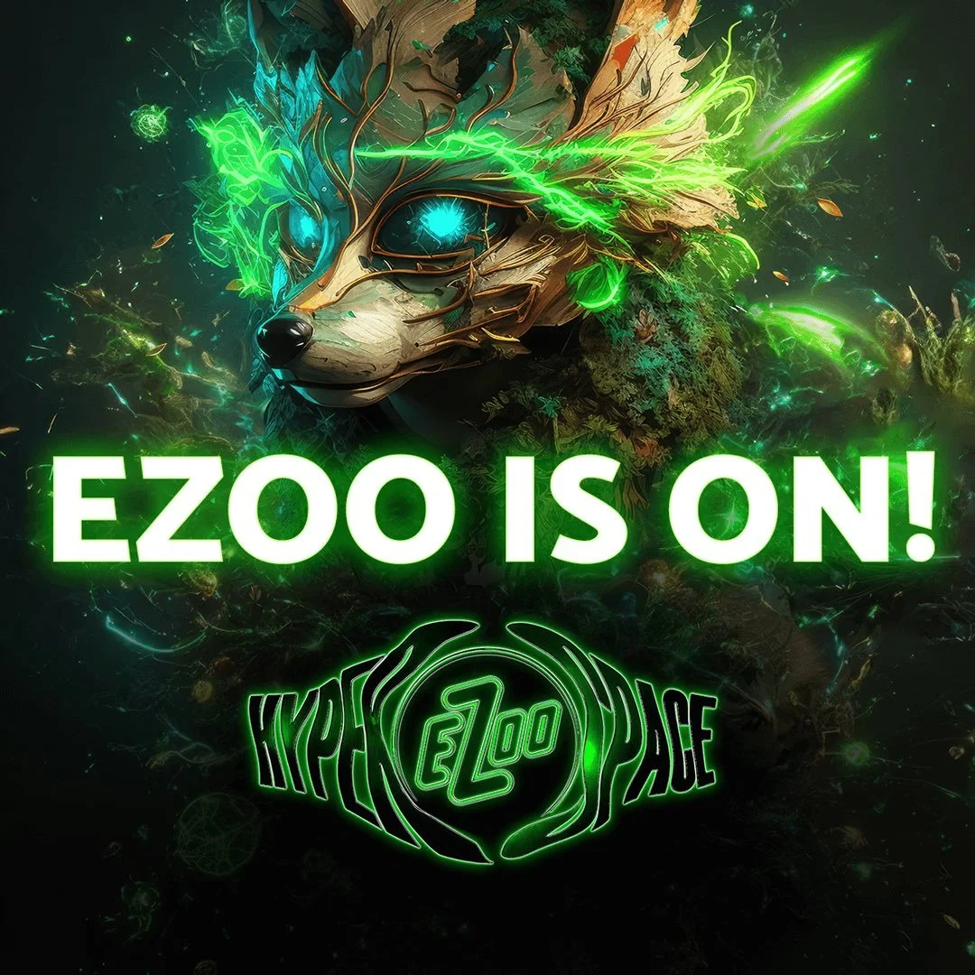 Electric Zoo 2023: What Exactly Happened?