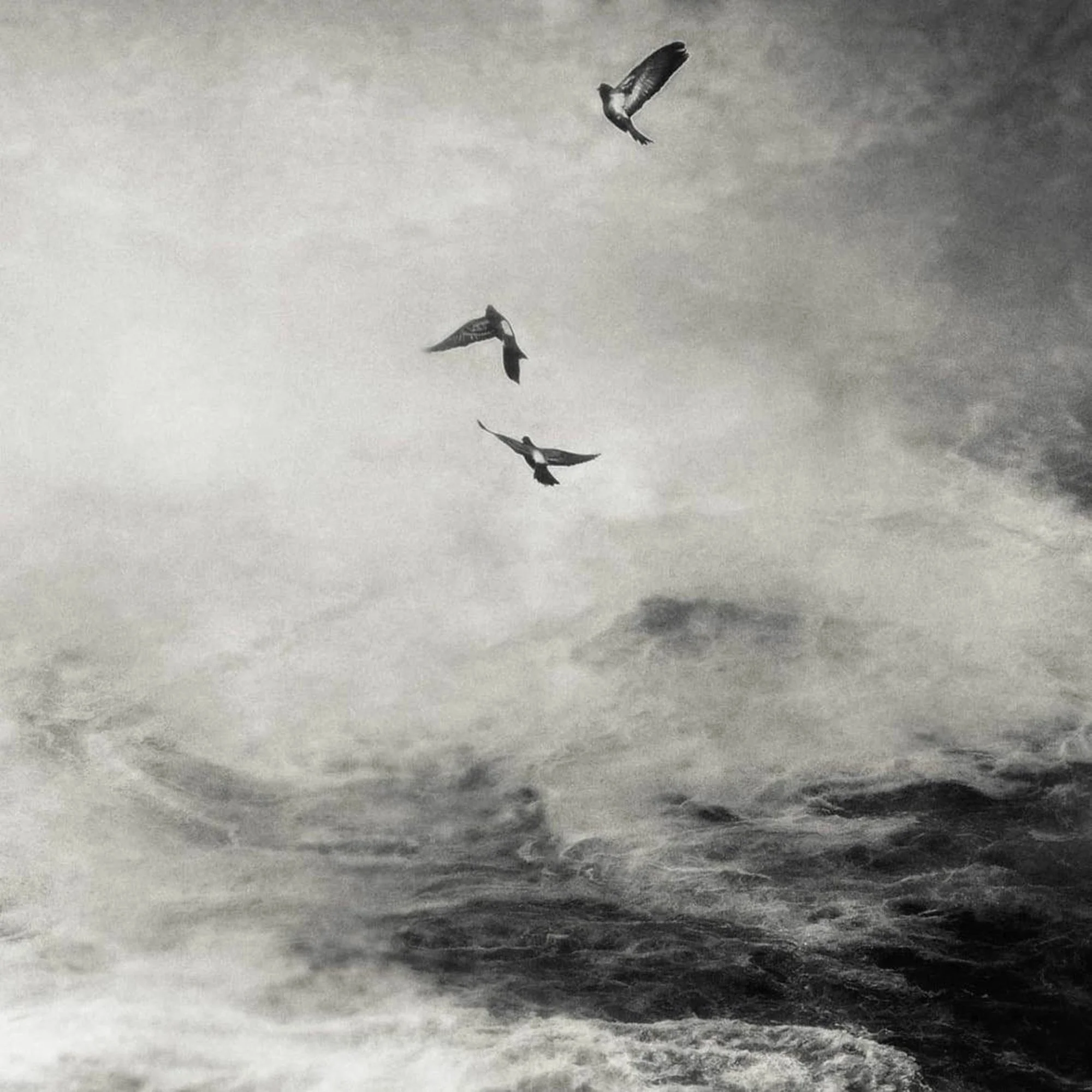 Degrees' "Pt. V": A hauntingly atmospheric expedition in sound